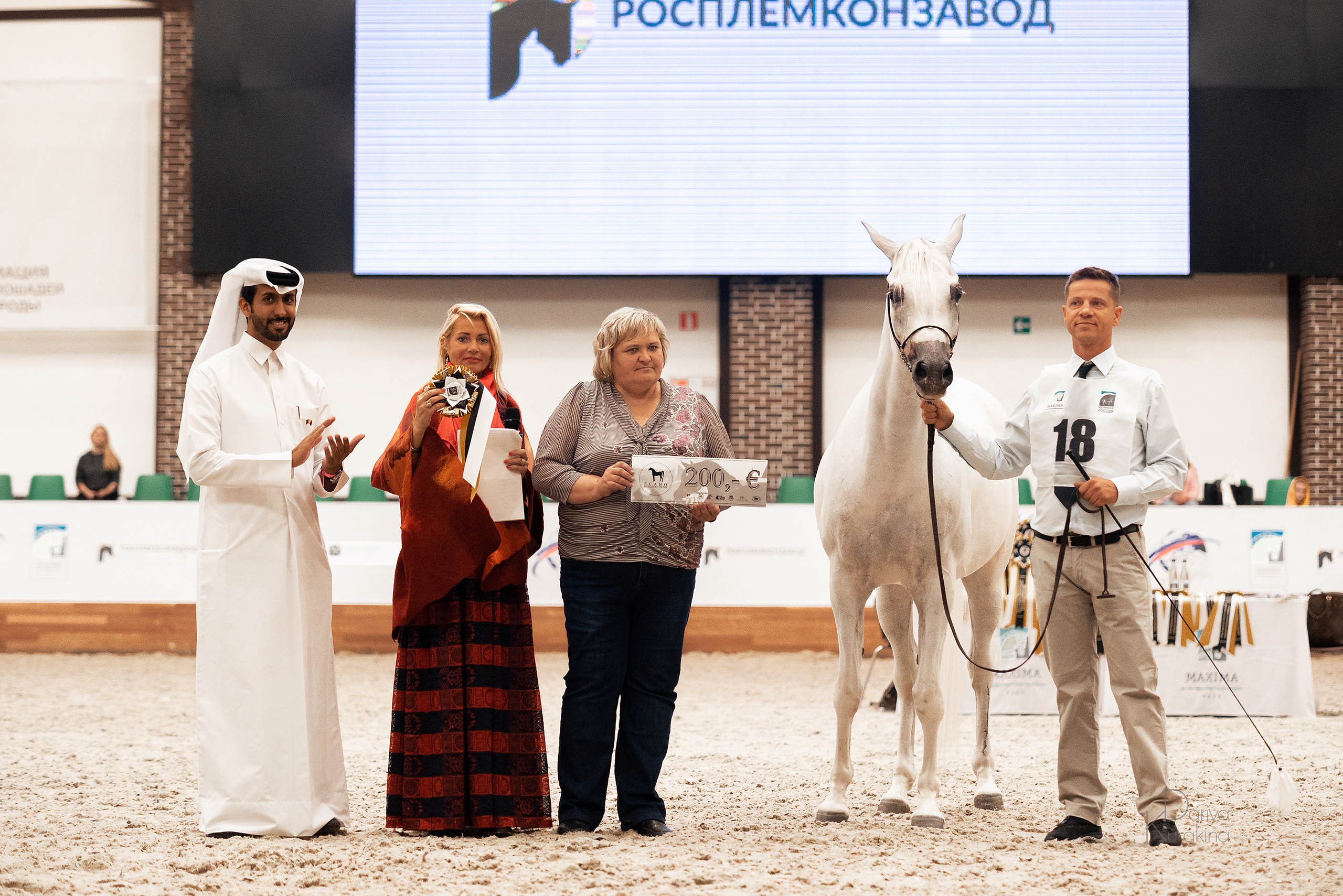 Конная Россия 2021. Конный фотограф Куракина Дарья • Фотосессии с лошадьми