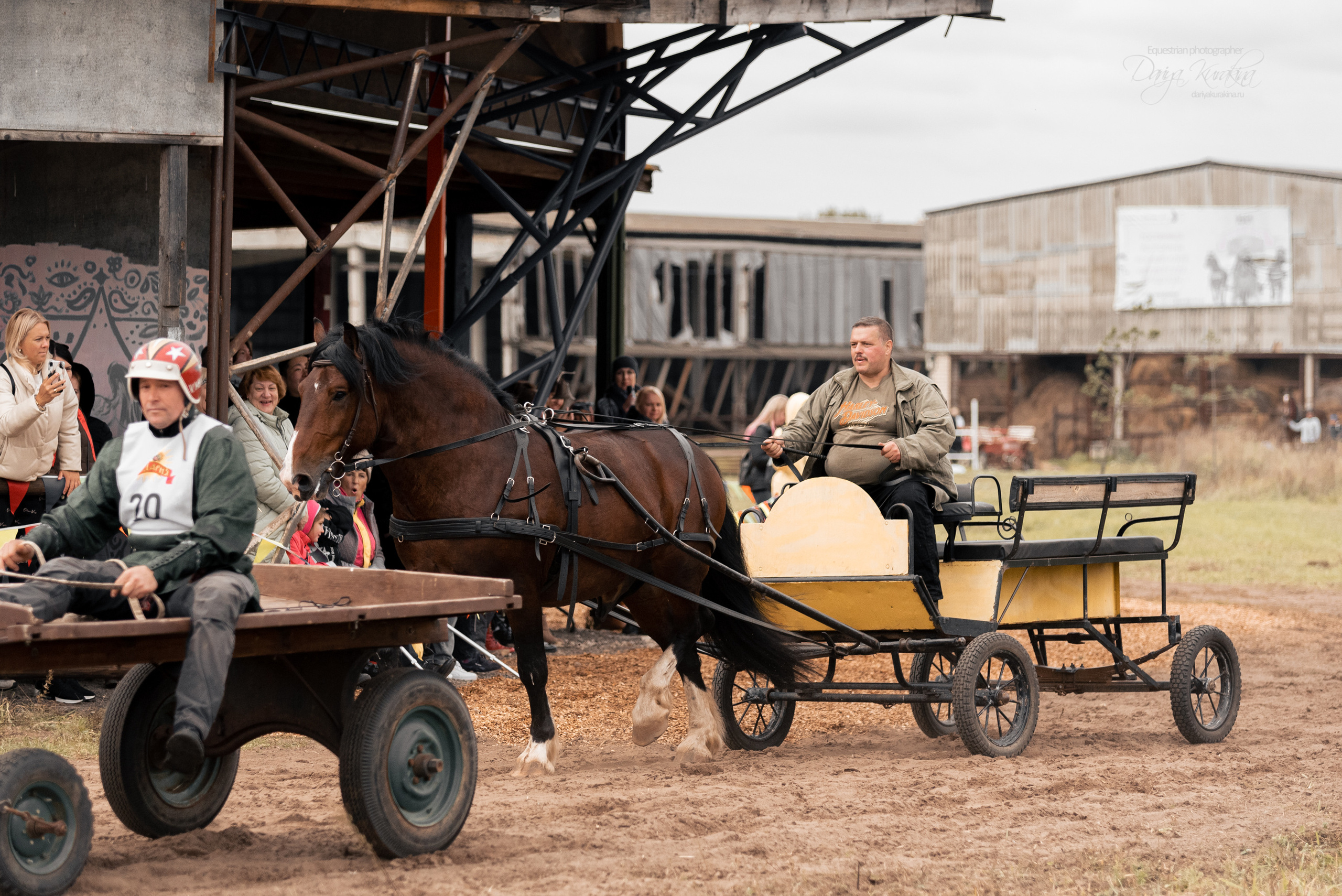 Богдарня. Конный фотограф Куракина Дарья • Фотосессии с лошадьми