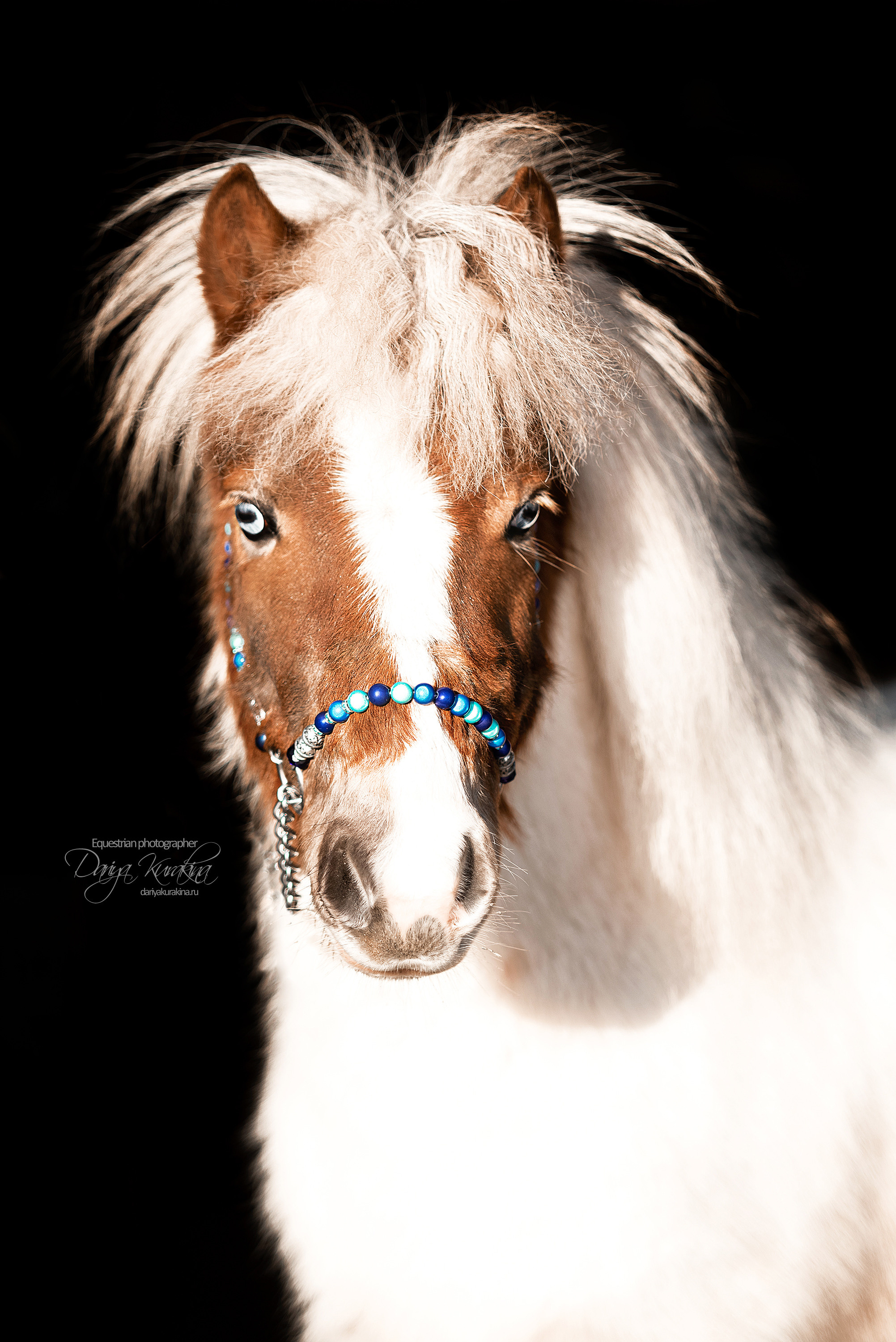Сияние. Конный фотограф Куракина Дарья • Фотосессии с лошадьми