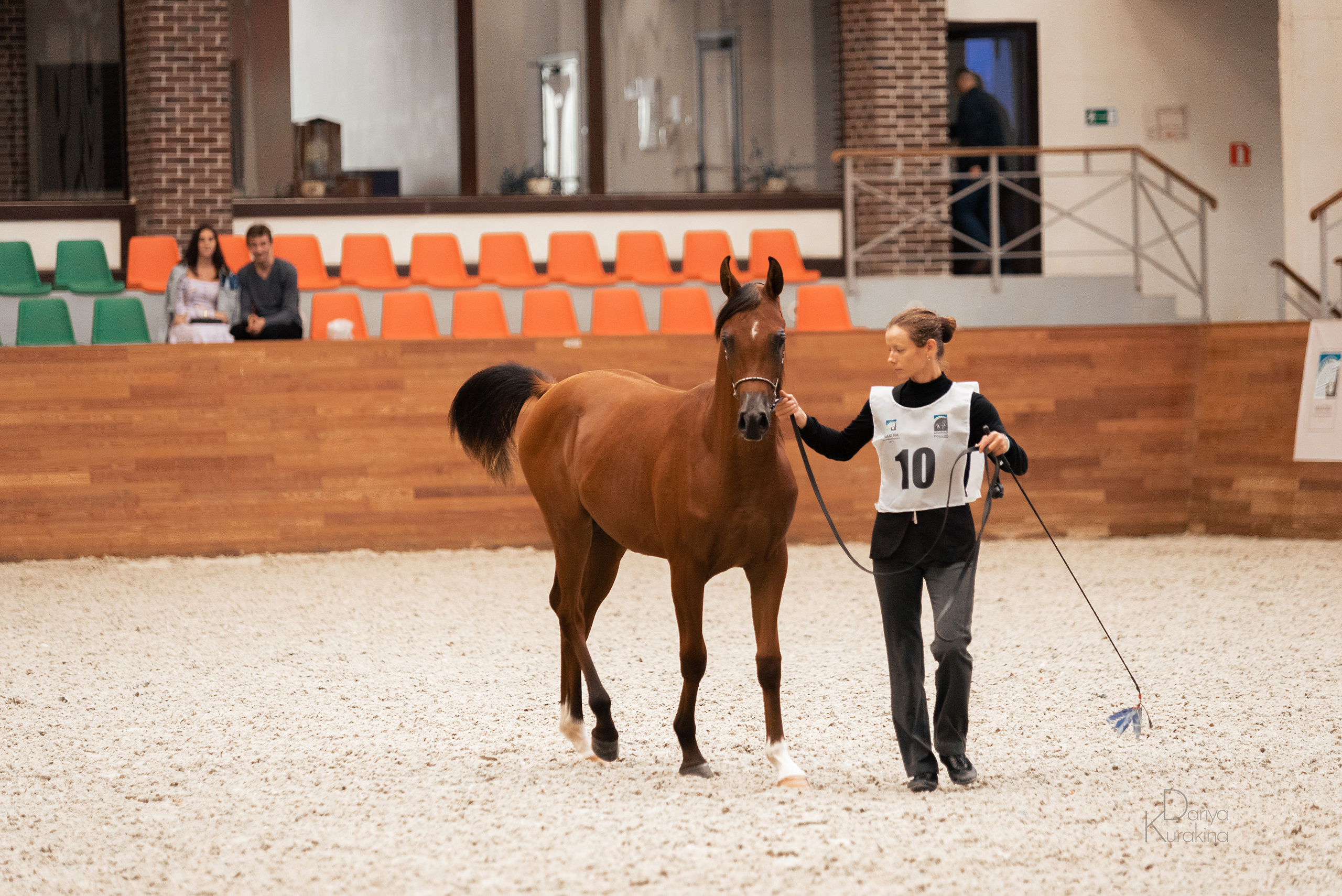 Конная Россия 2021. Конный фотограф Куракина Дарья • Фотосессии с лошадьми