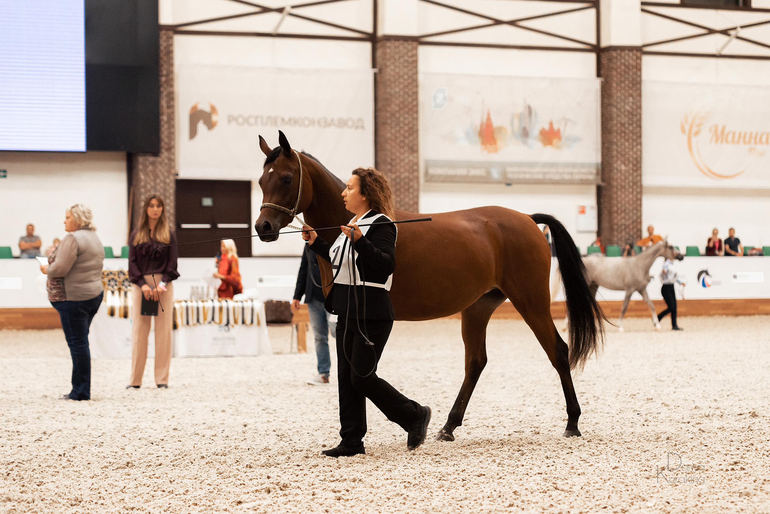 Конная Россия 2021. Конный фотограф Куракина Дарья • Фотосессии с лошадьми