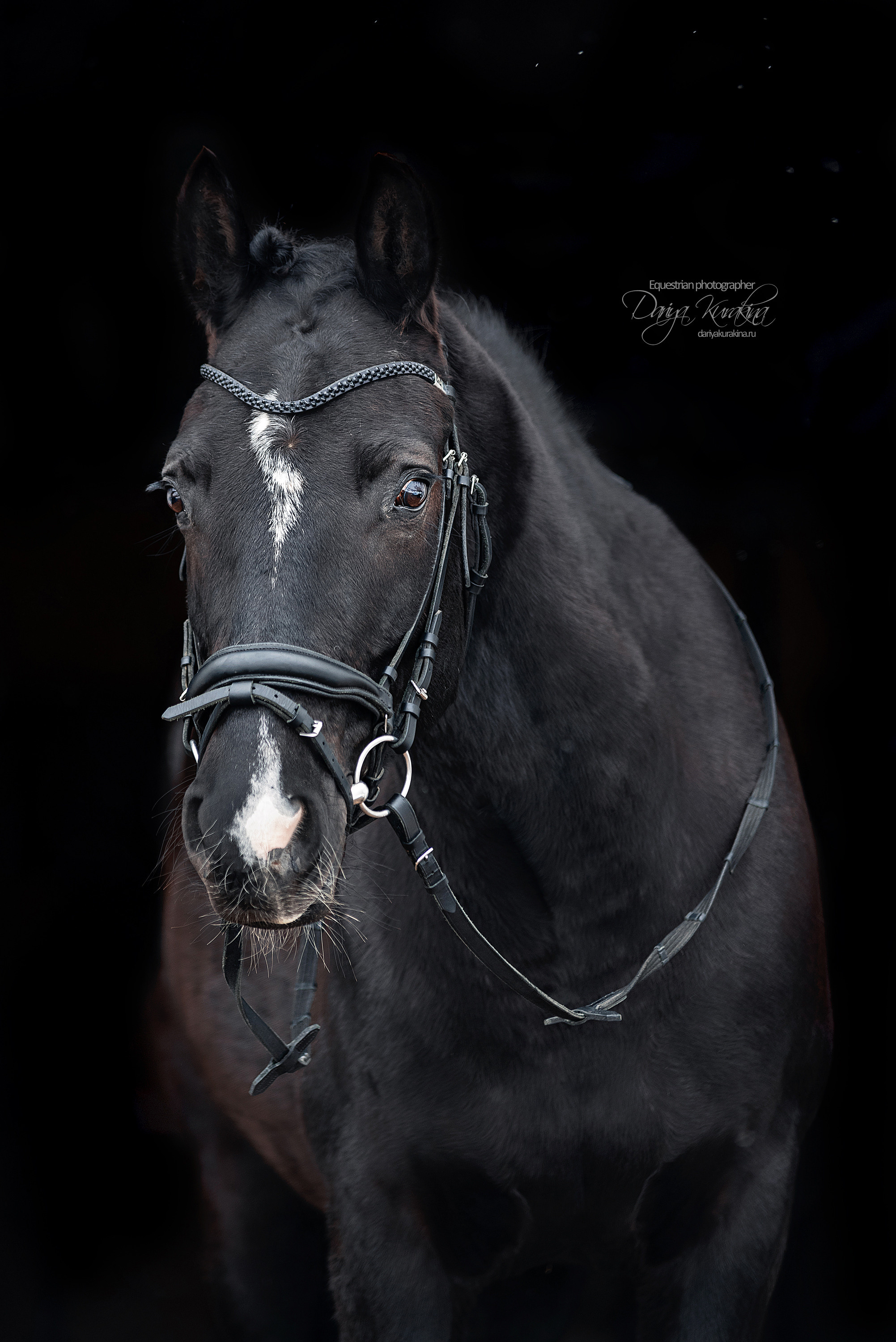 Аня, Полина и Джей Z. Конный фотограф Куракина Дарья • Фотосессии с лошадьми