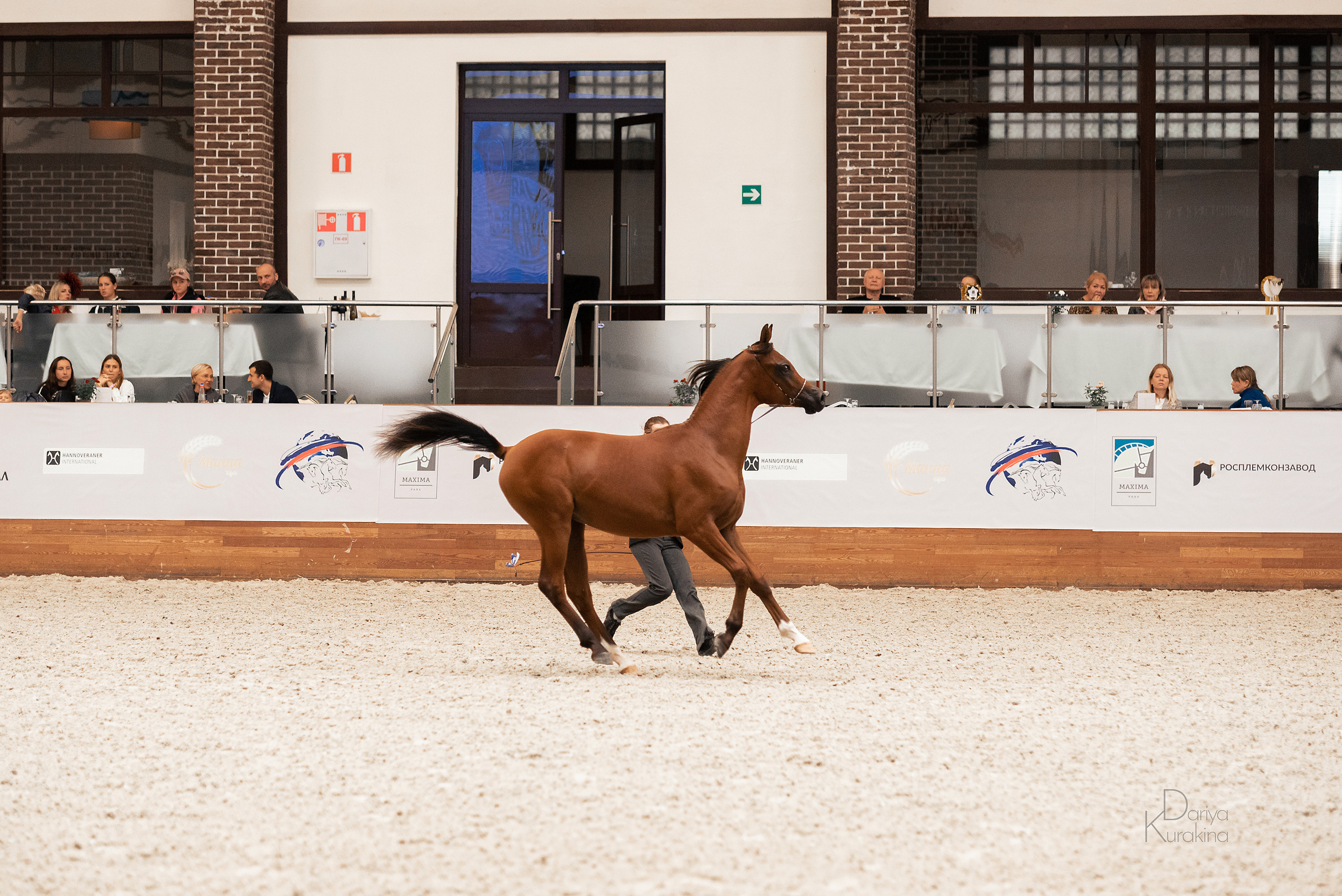 Конная Россия 2021. Конный фотограф Куракина Дарья • Фотосессии с лошадьми