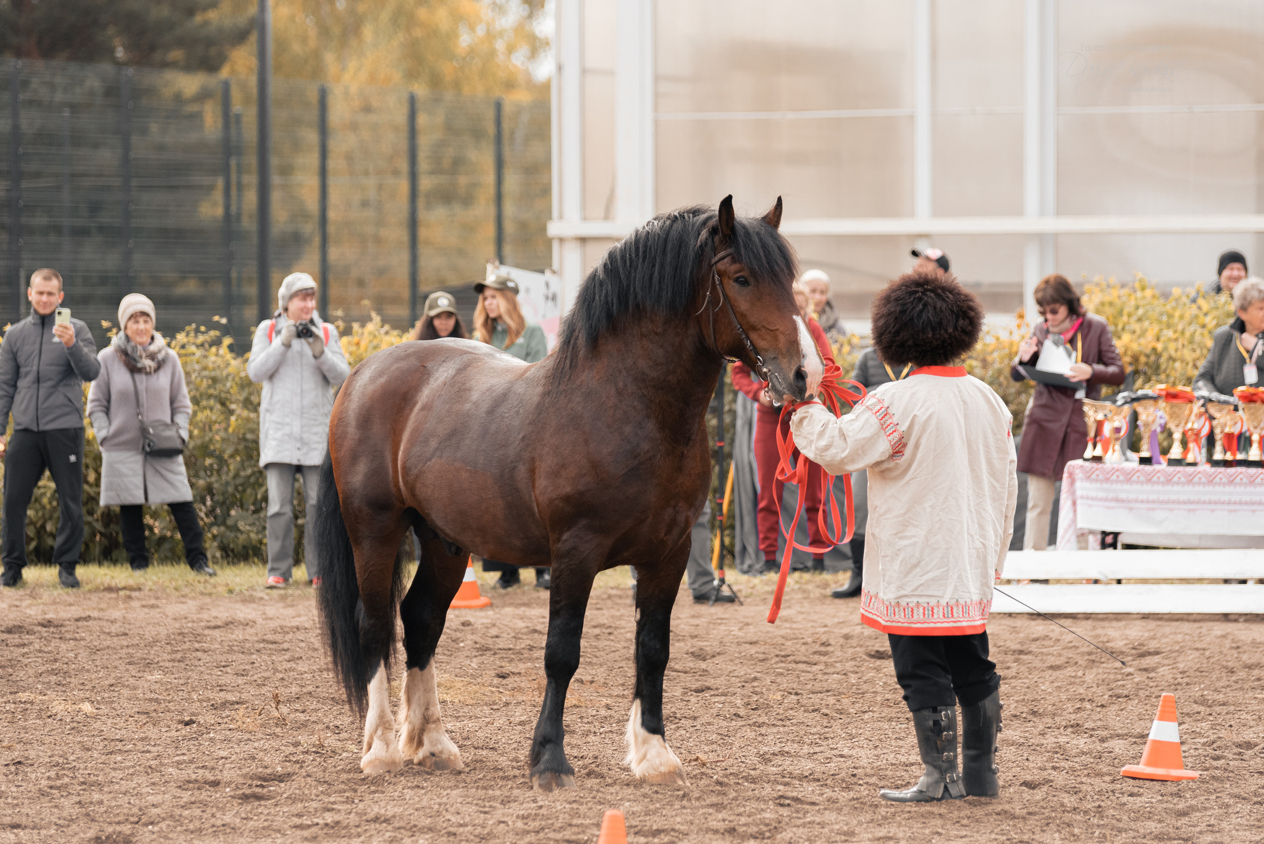 Богдарня. Конный фотограф Куракина Дарья • Фотосессии с лошадьми