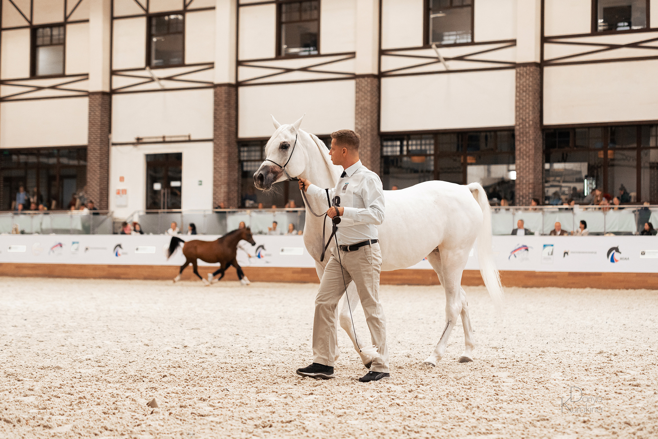 Конная Россия 2021. Конный фотограф Куракина Дарья • Фотосессии с лошадьми