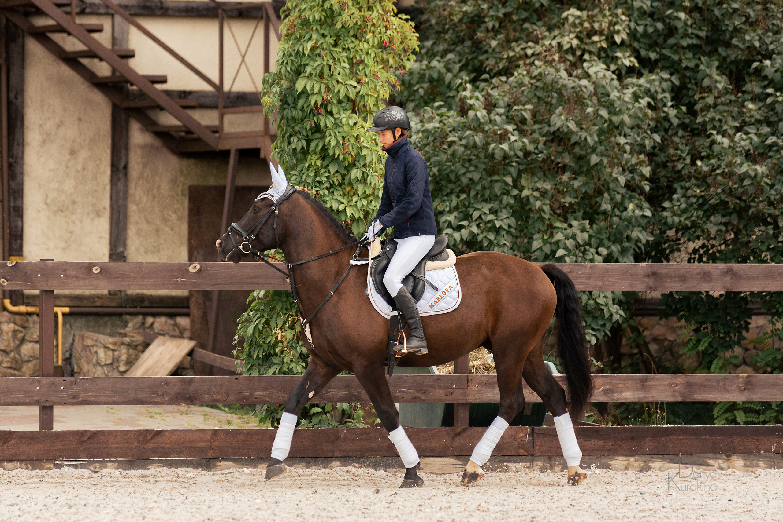 КСК Белая Дача, конкур. Конный фотограф Куракина Дарья • Фотосессии с лошадьми