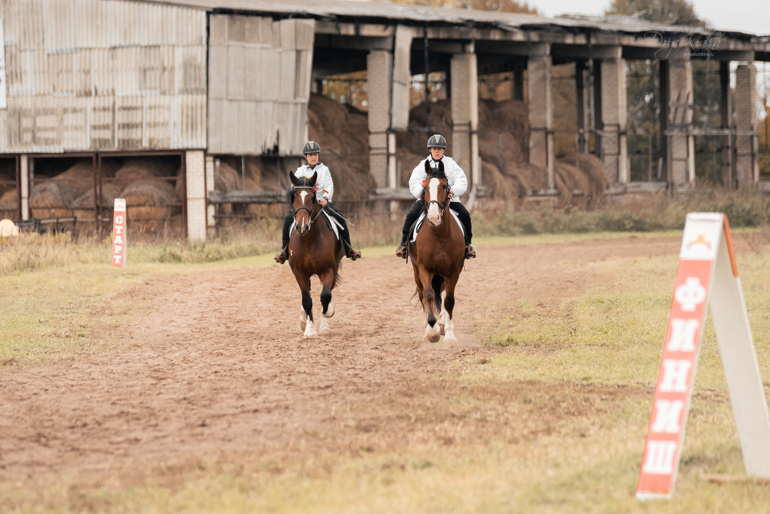 Богдарня. Конный фотограф Куракина Дарья • Фотосессии с лошадьми