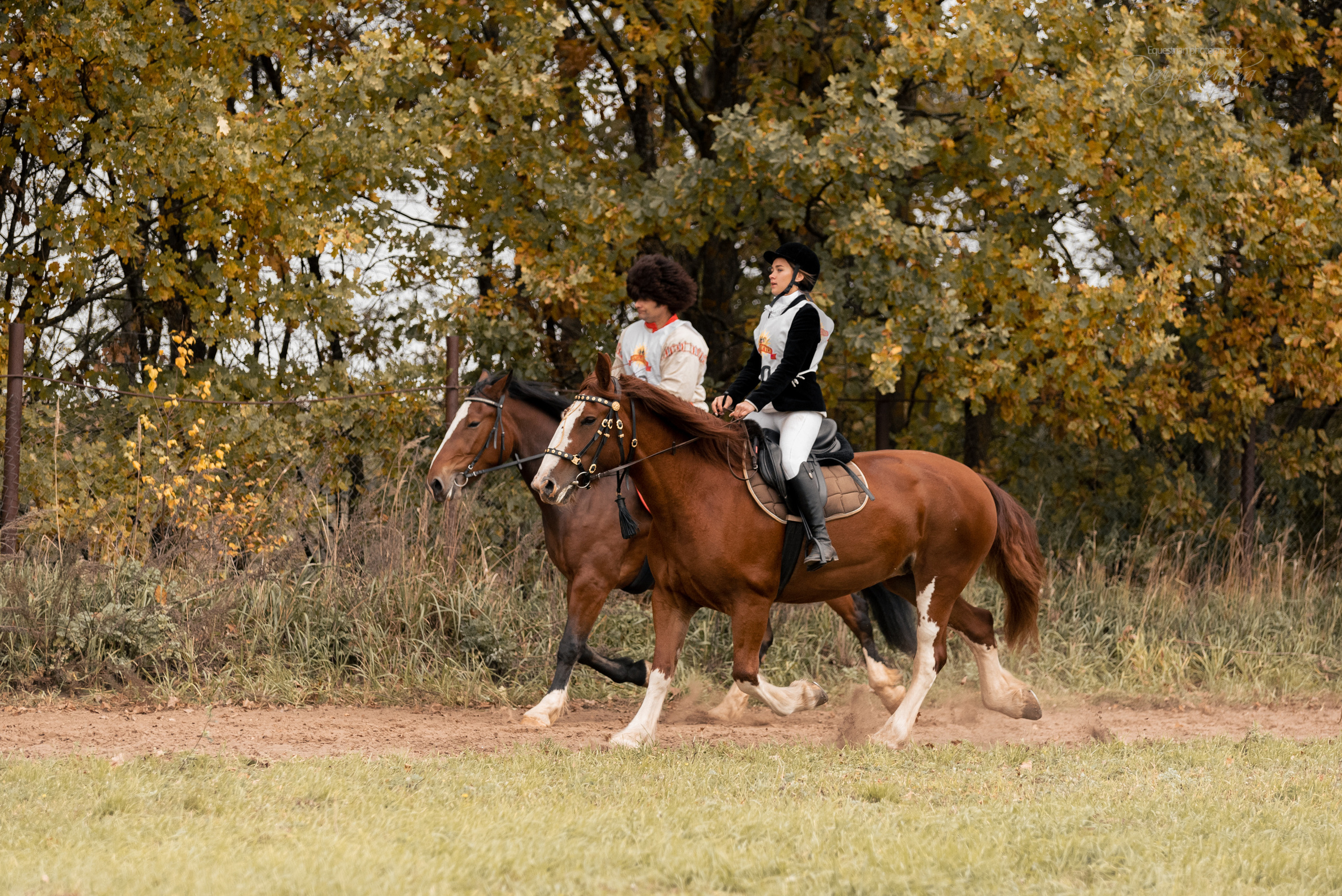 Богдарня. Конный фотограф Куракина Дарья • Фотосессии с лошадьми