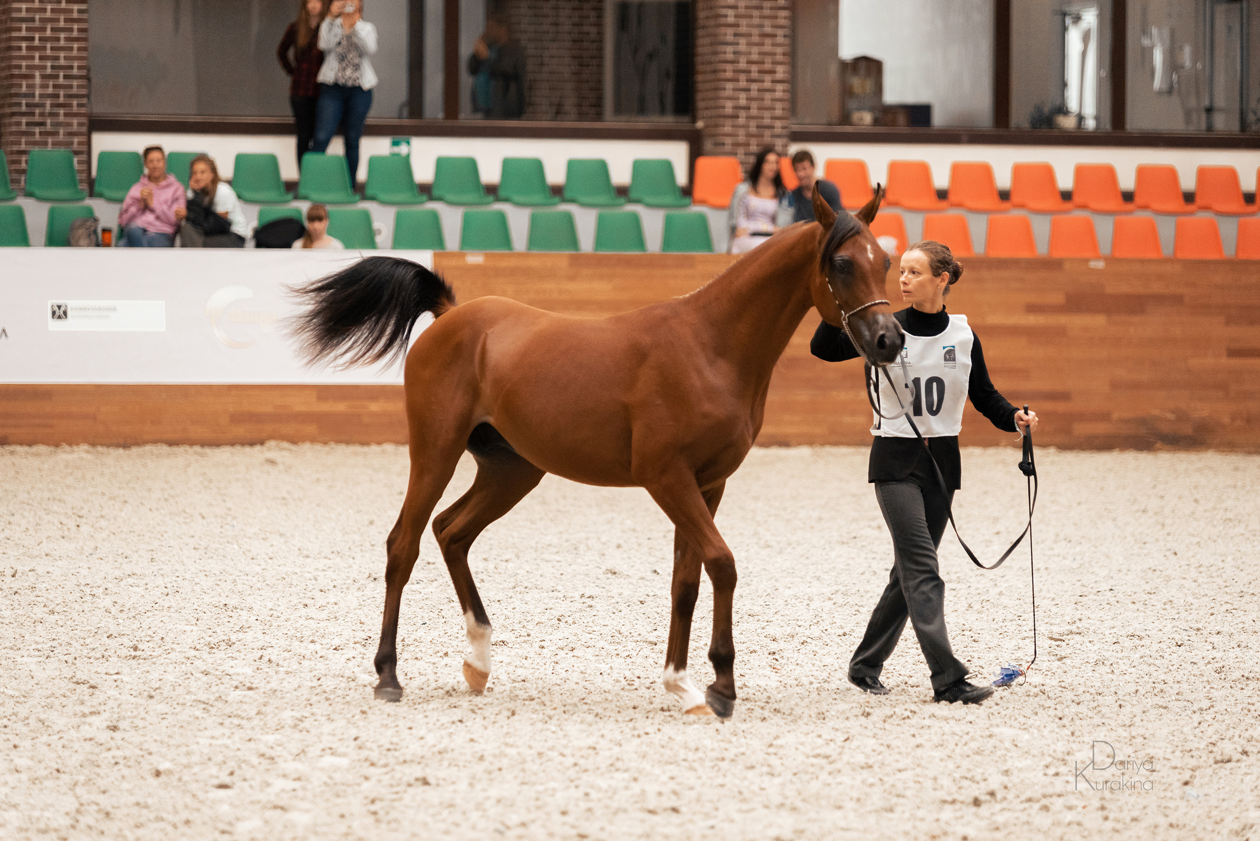 Конная Россия 2021. Конный фотограф Куракина Дарья • Фотосессии с лошадьми