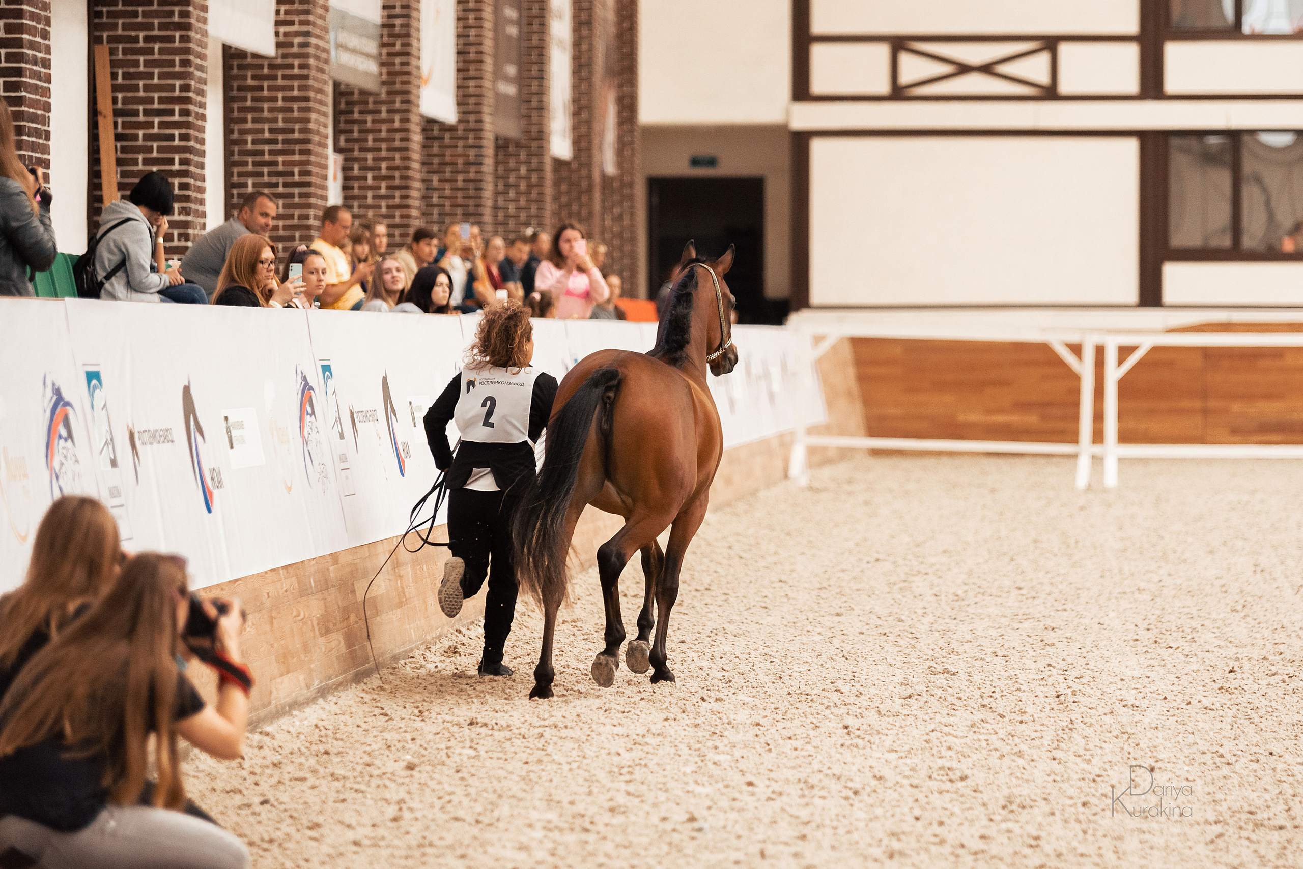 Конная Россия 2021. Конный фотограф Куракина Дарья • Фотосессии с лошадьми