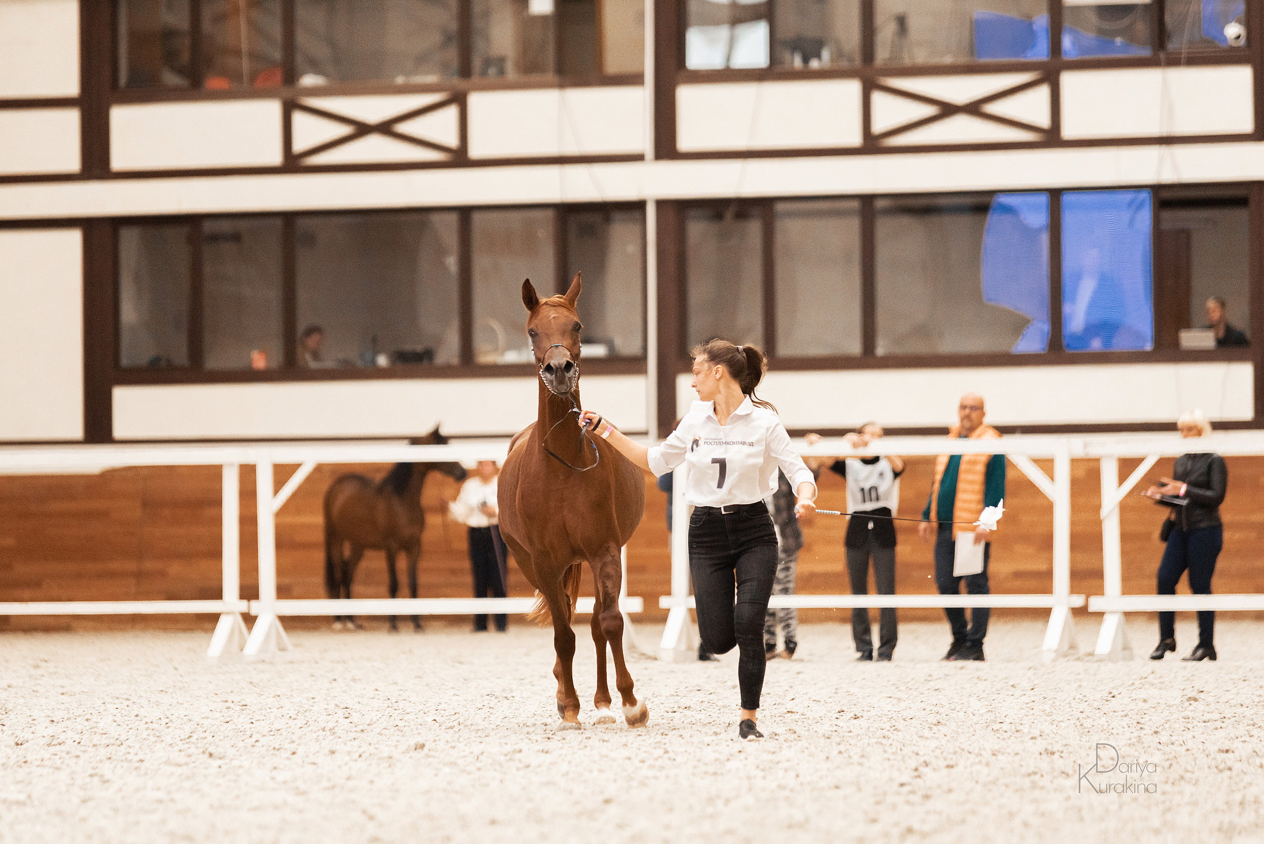 Конная Россия 2021. Конный фотограф Куракина Дарья • Фотосессии с лошадьми