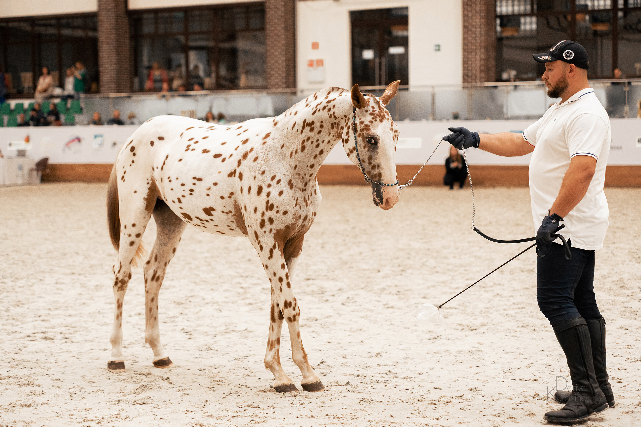 Конная Россия 2021. Конный фотограф Куракина Дарья • Фотосессии с лошадьми