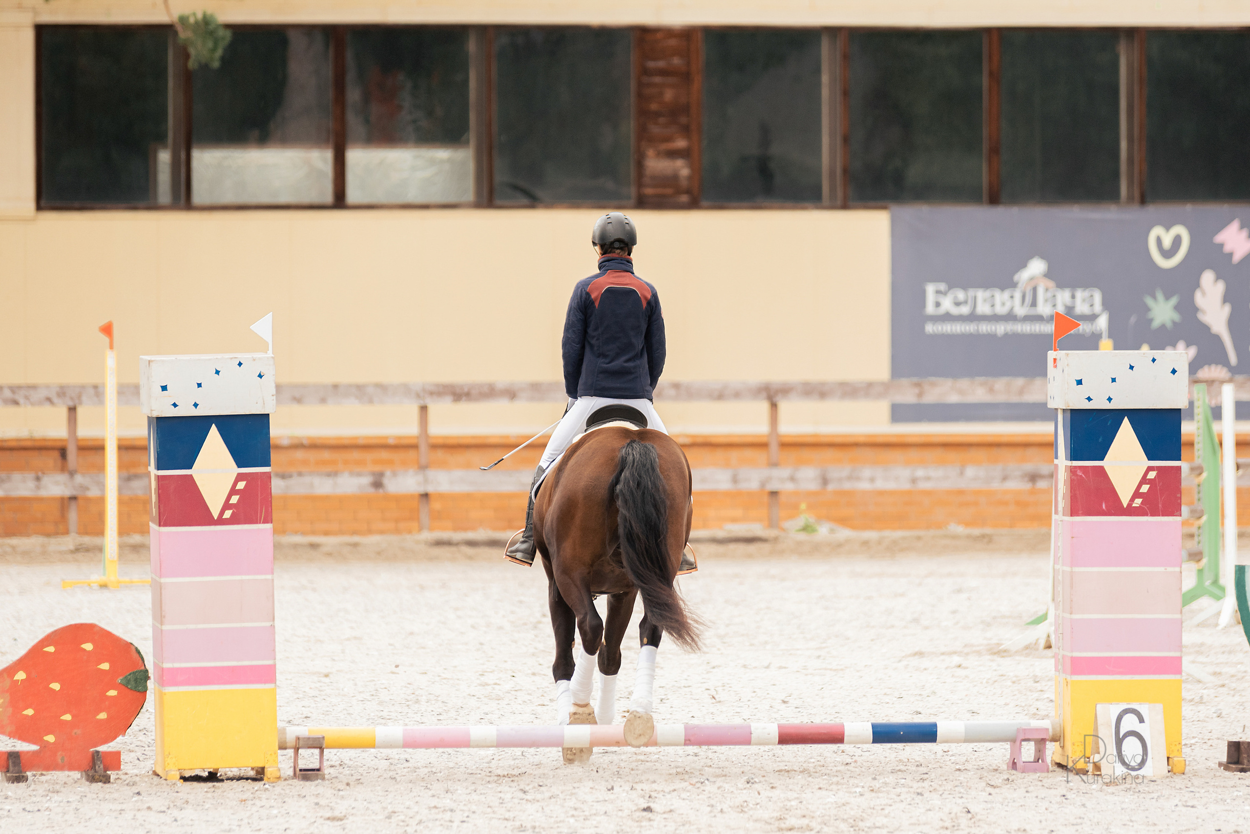КСК Белая Дача, конкур. Конный фотограф Куракина Дарья • Фотосессии с лошадьми