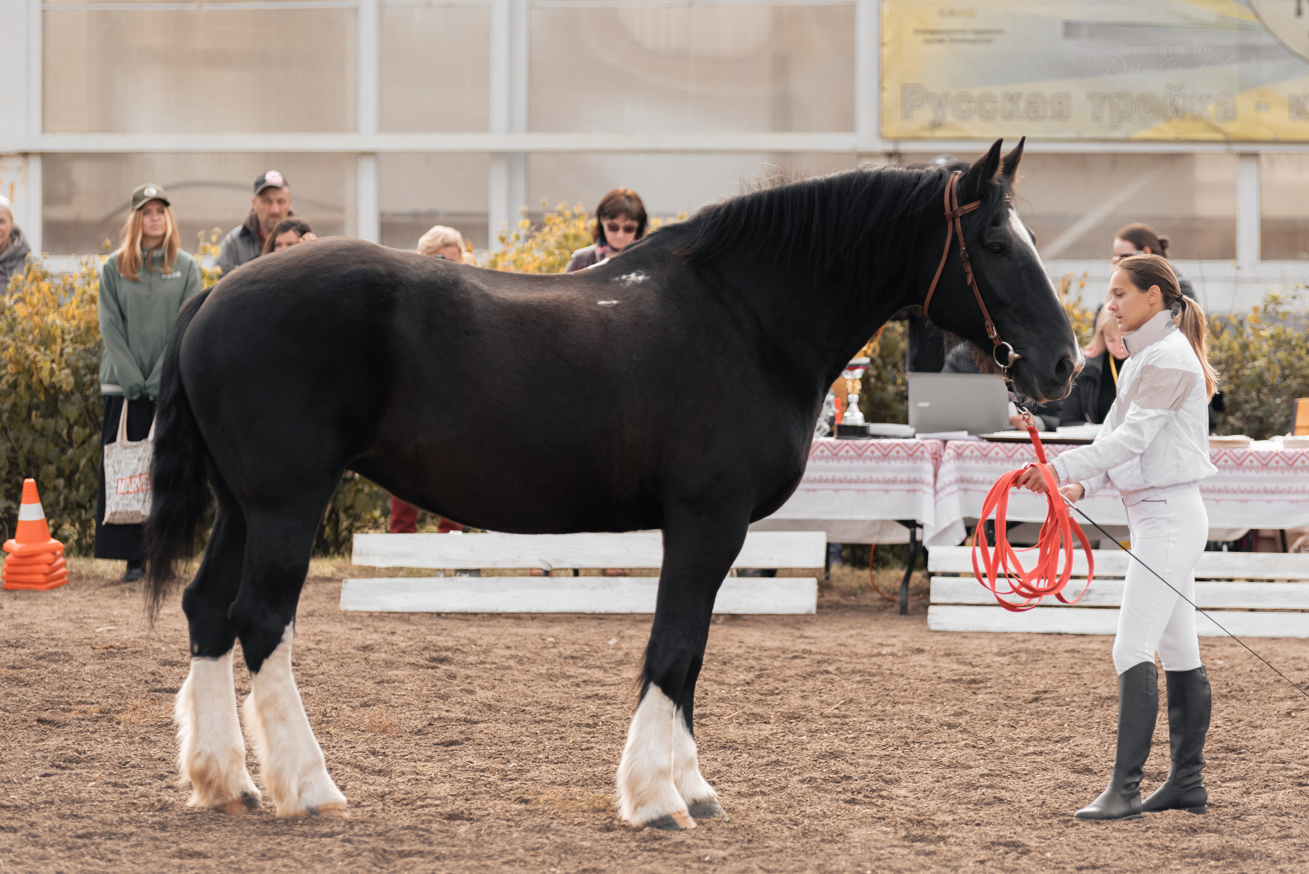 Богдарня. Конный фотограф Куракина Дарья • Фотосессии с лошадьми