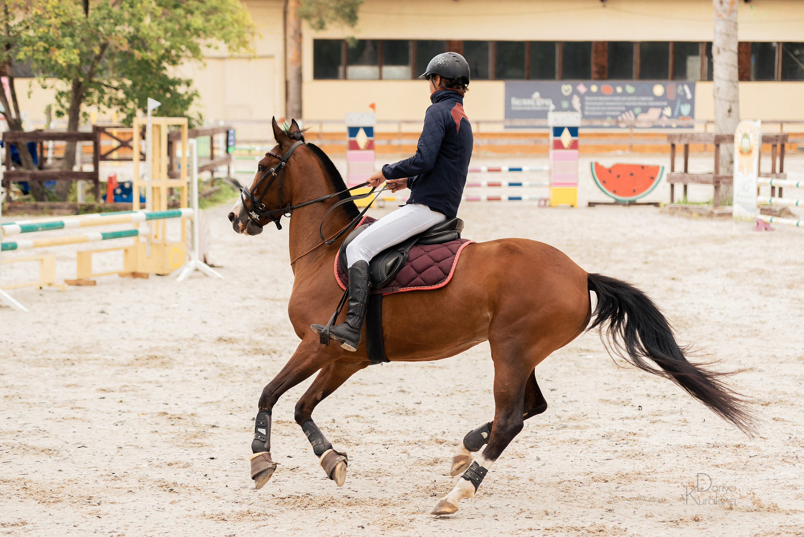 КСК Белая Дача, конкур. Конный фотограф Куракина Дарья • Фотосессии с лошадьми