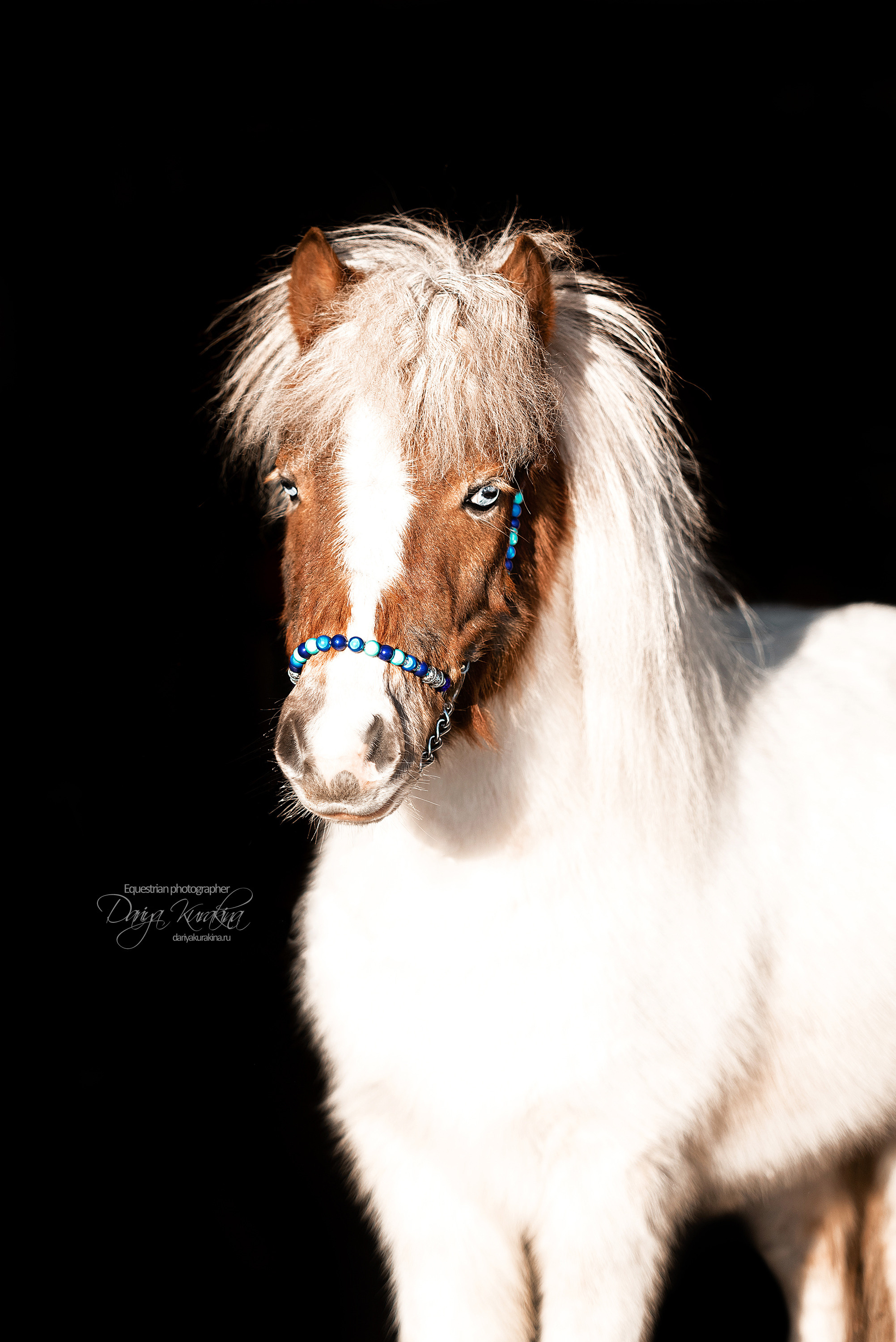 Сияние. Конный фотограф Куракина Дарья • Фотосессии с лошадьми