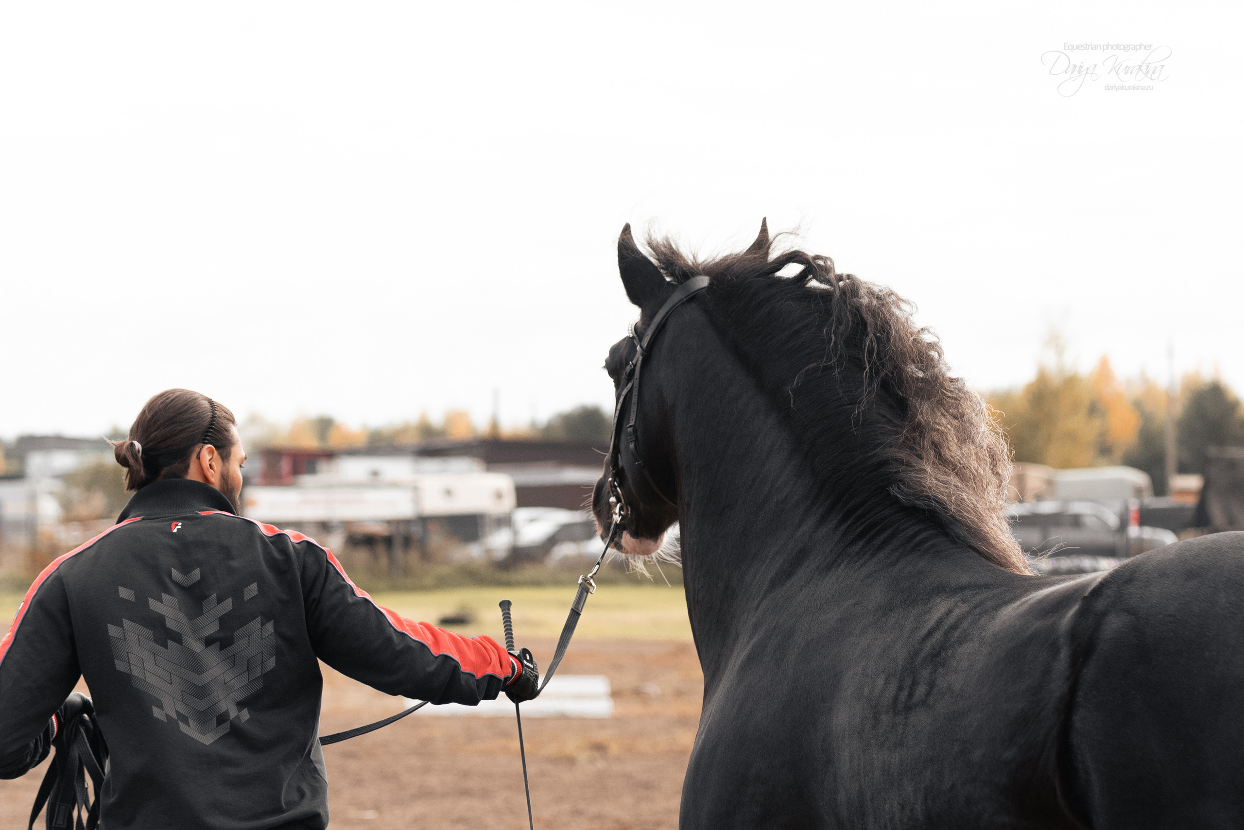 Богдарня. Конный фотограф Куракина Дарья • Фотосессии с лошадьми