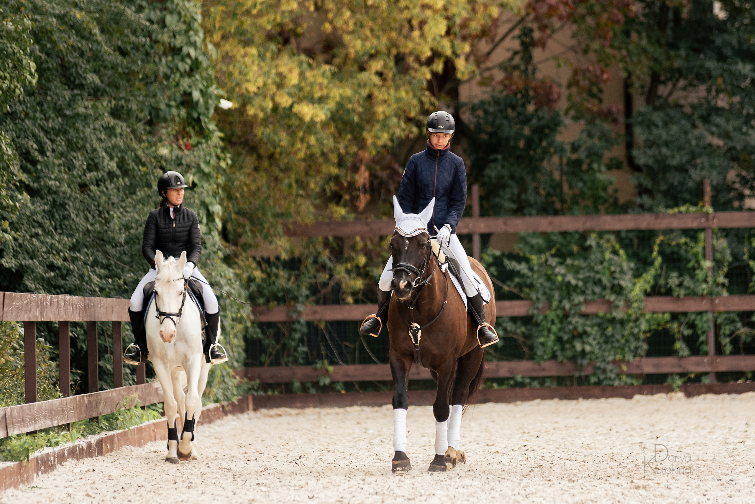 КСК Белая Дача, конкур. Конный фотограф Куракина Дарья • Фотосессии с лошадьми