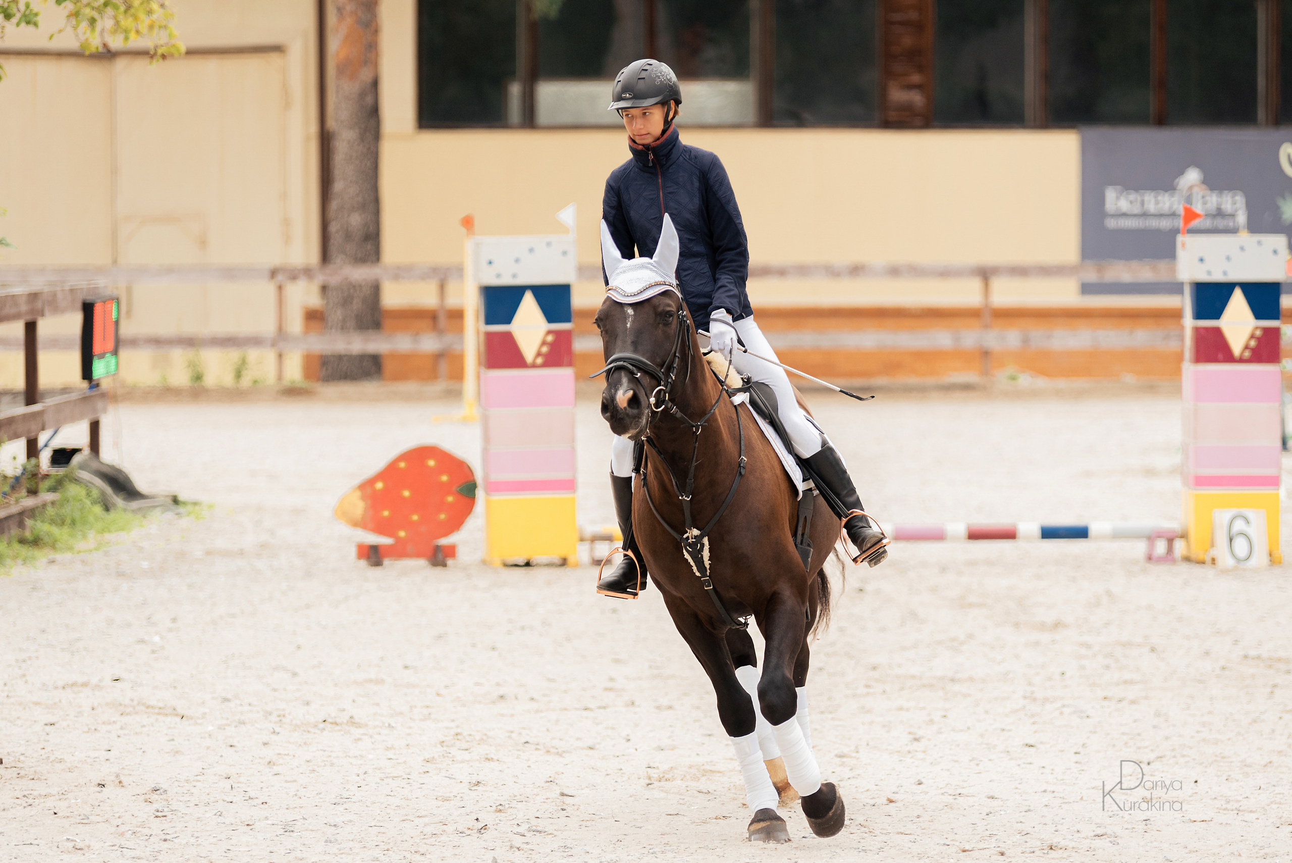 КСК Белая Дача, конкур. Конный фотограф Куракина Дарья • Фотосессии с лошадьми