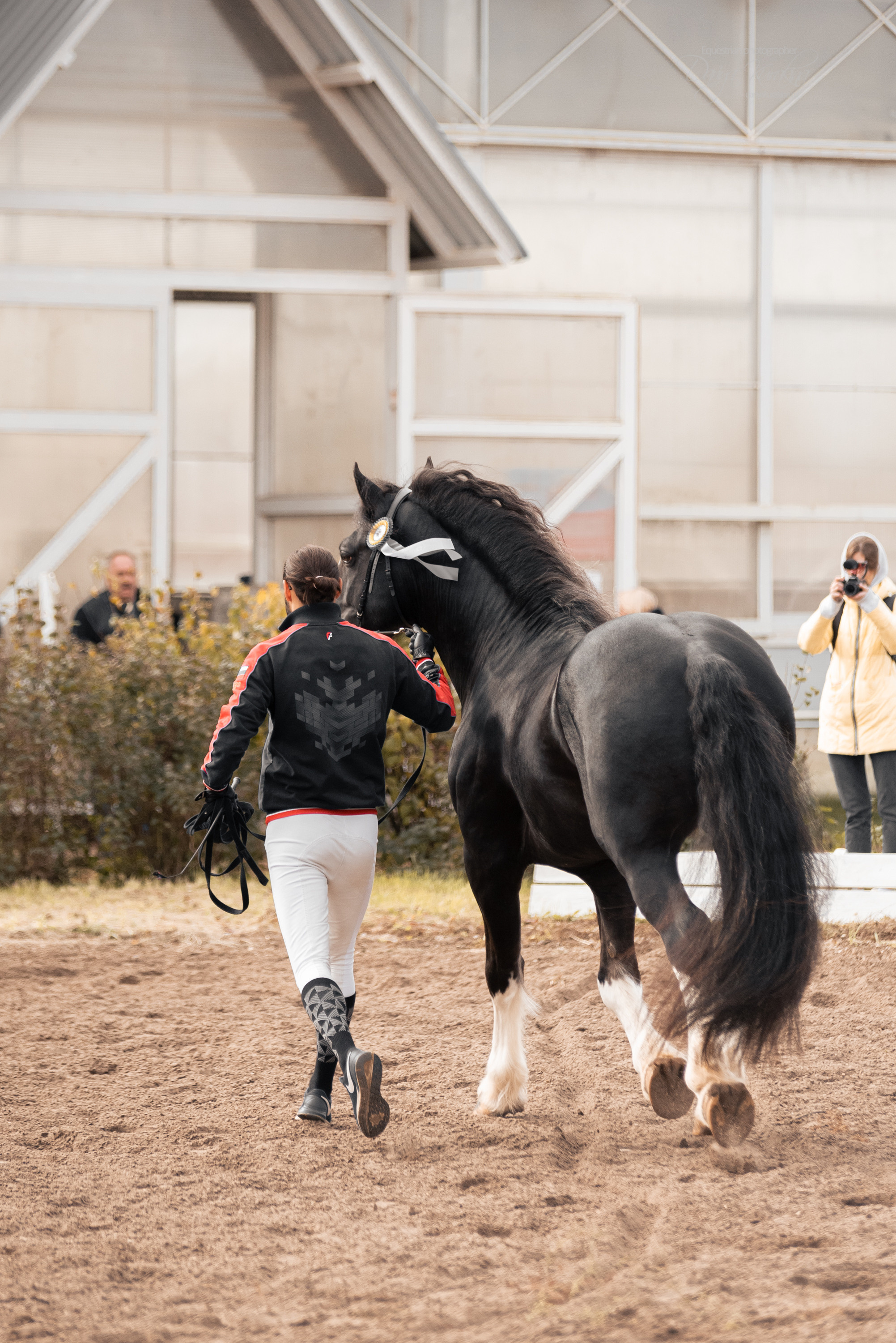Богдарня. Конный фотограф Куракина Дарья • Фотосессии с лошадьми