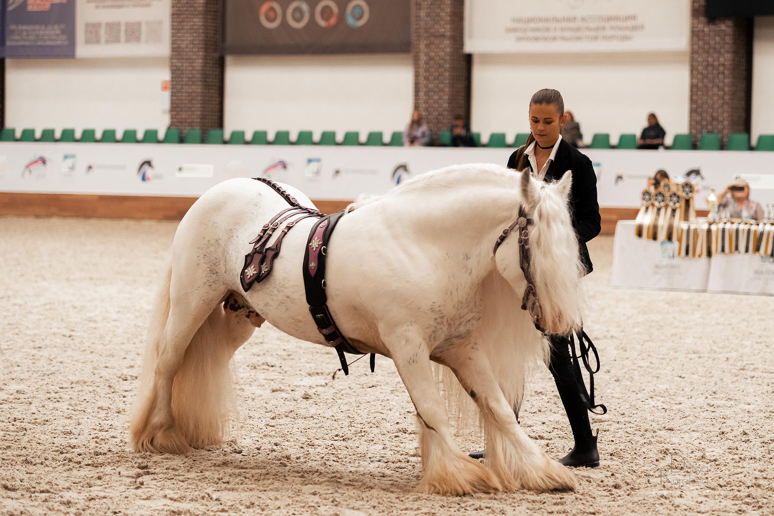 Конная Россия 2021. Конный фотограф Куракина Дарья • Фотосессии с лошадьми