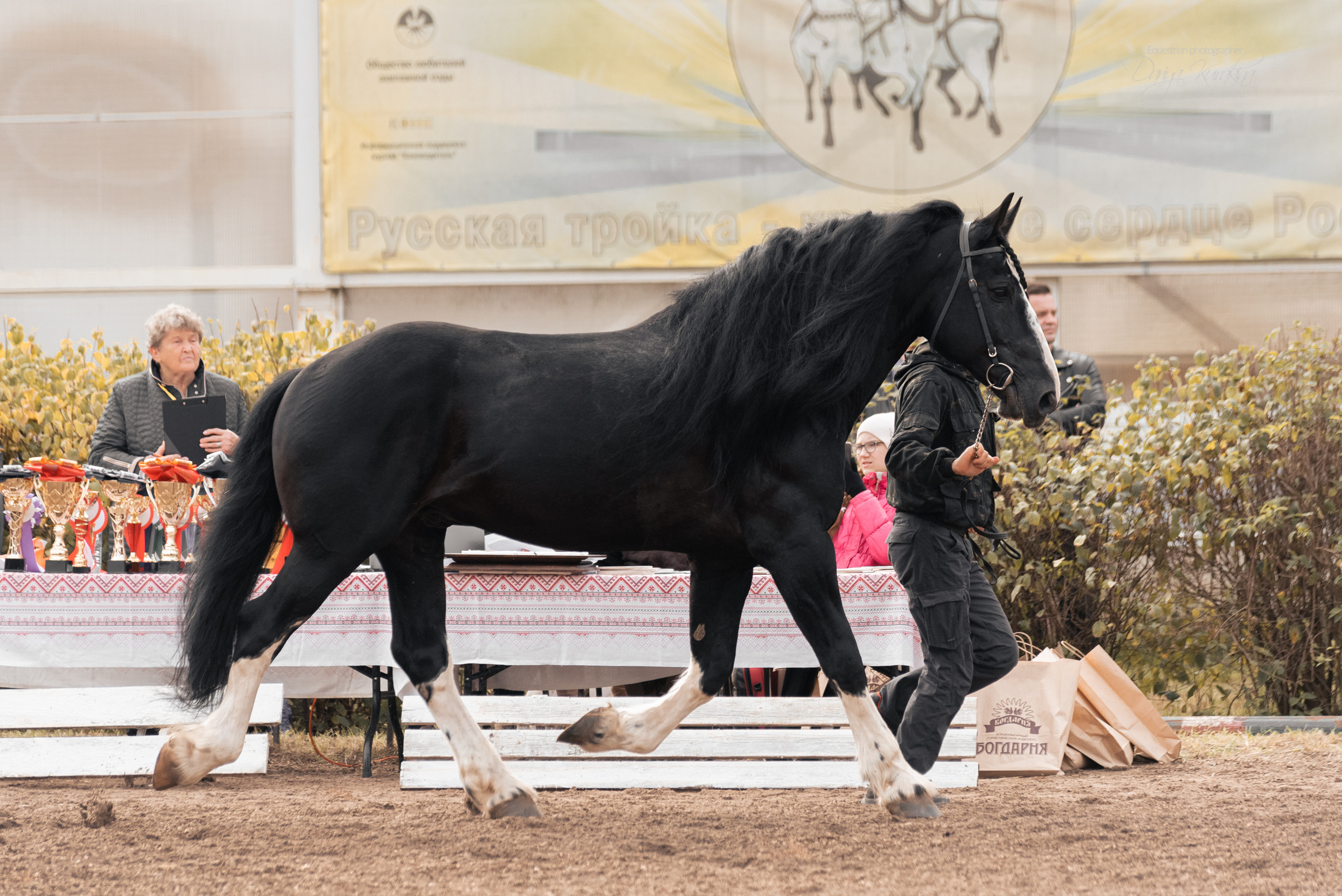 Богдарня. Конный фотограф Куракина Дарья • Фотосессии с лошадьми