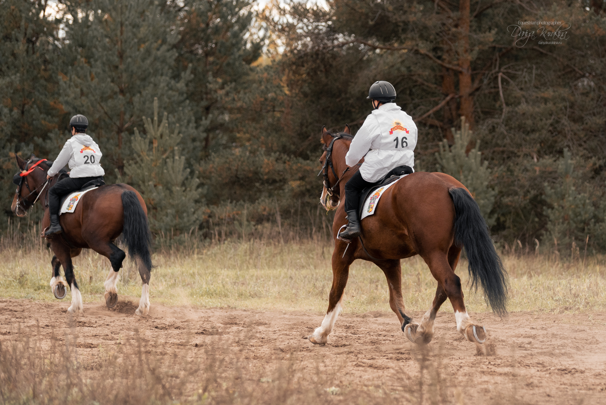 Богдарня. Конный фотограф Куракина Дарья • Фотосессии с лошадьми