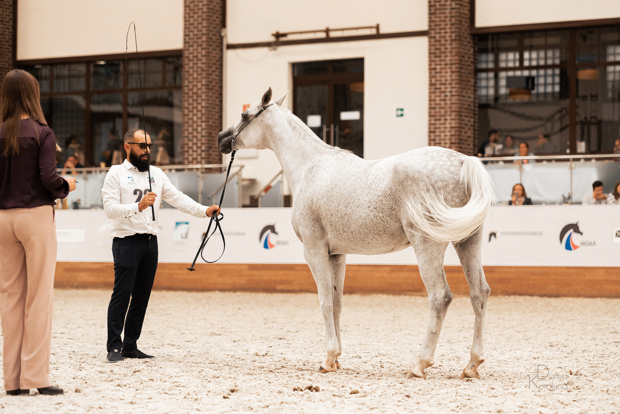 Конная Россия 2021. Конный фотограф Куракина Дарья • Фотосессии с лошадьми