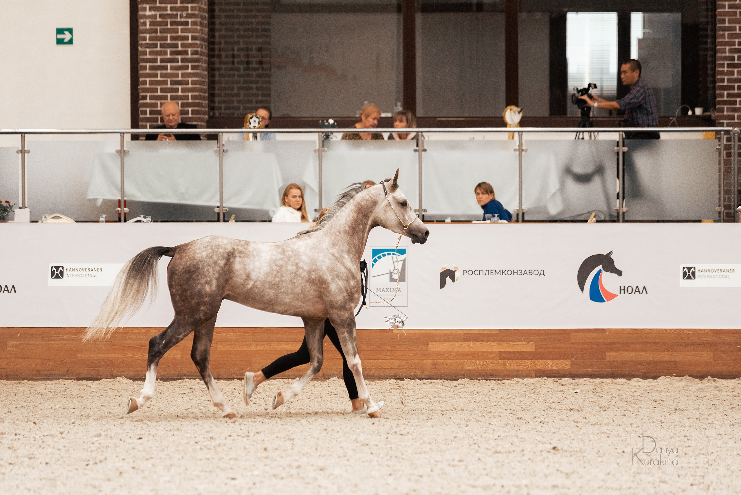 Конная Россия 2021. Конный фотограф Куракина Дарья • Фотосессии с лошадьми