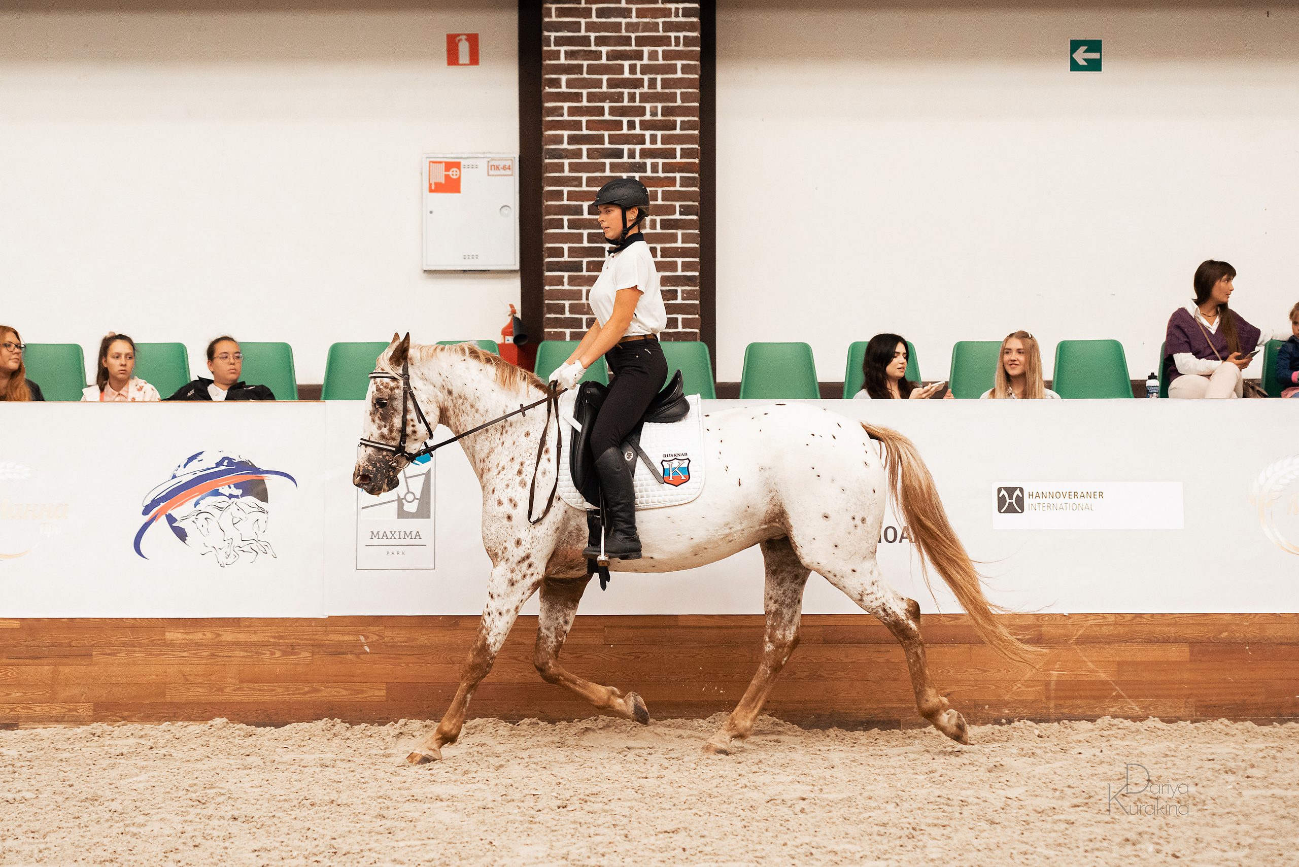 Конная Россия 2021. Конный фотограф Куракина Дарья • Фотосессии с лошадьми