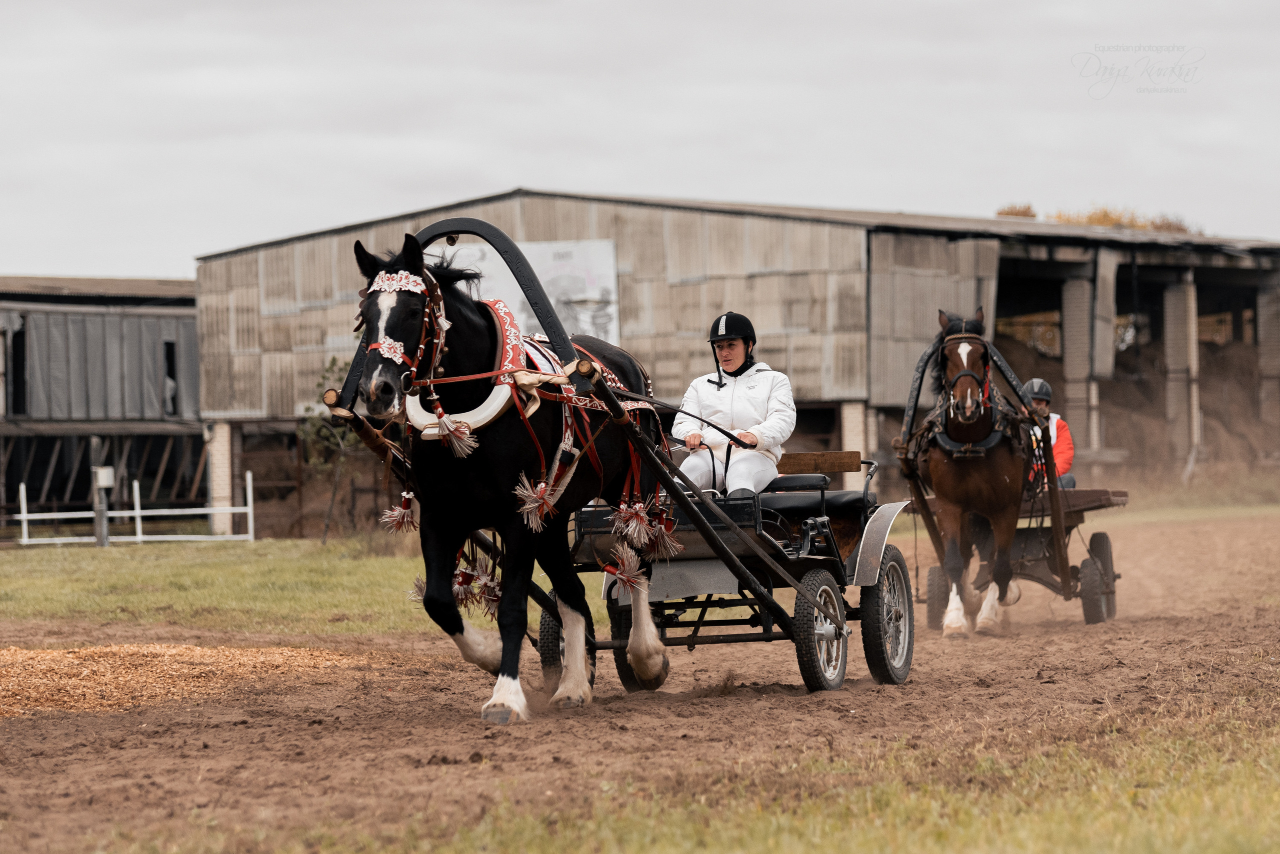 Богдарня. Конный фотограф Куракина Дарья • Фотосессии с лошадьми
