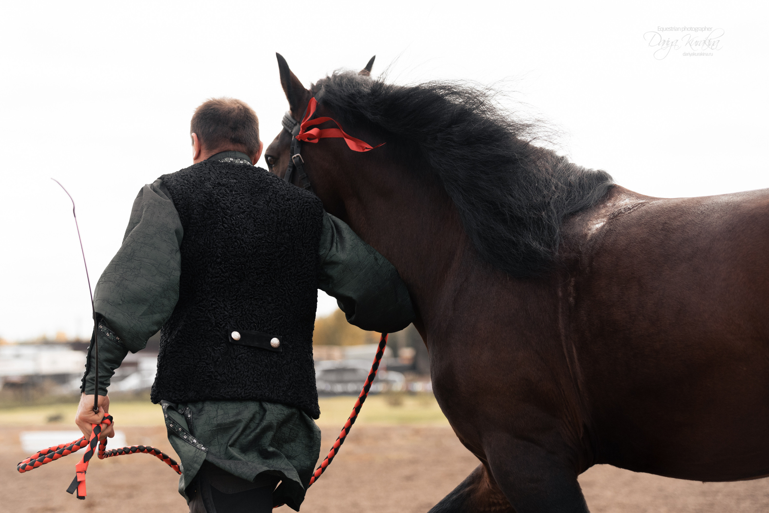 Богдарня. Конный фотограф Куракина Дарья • Фотосессии с лошадьми