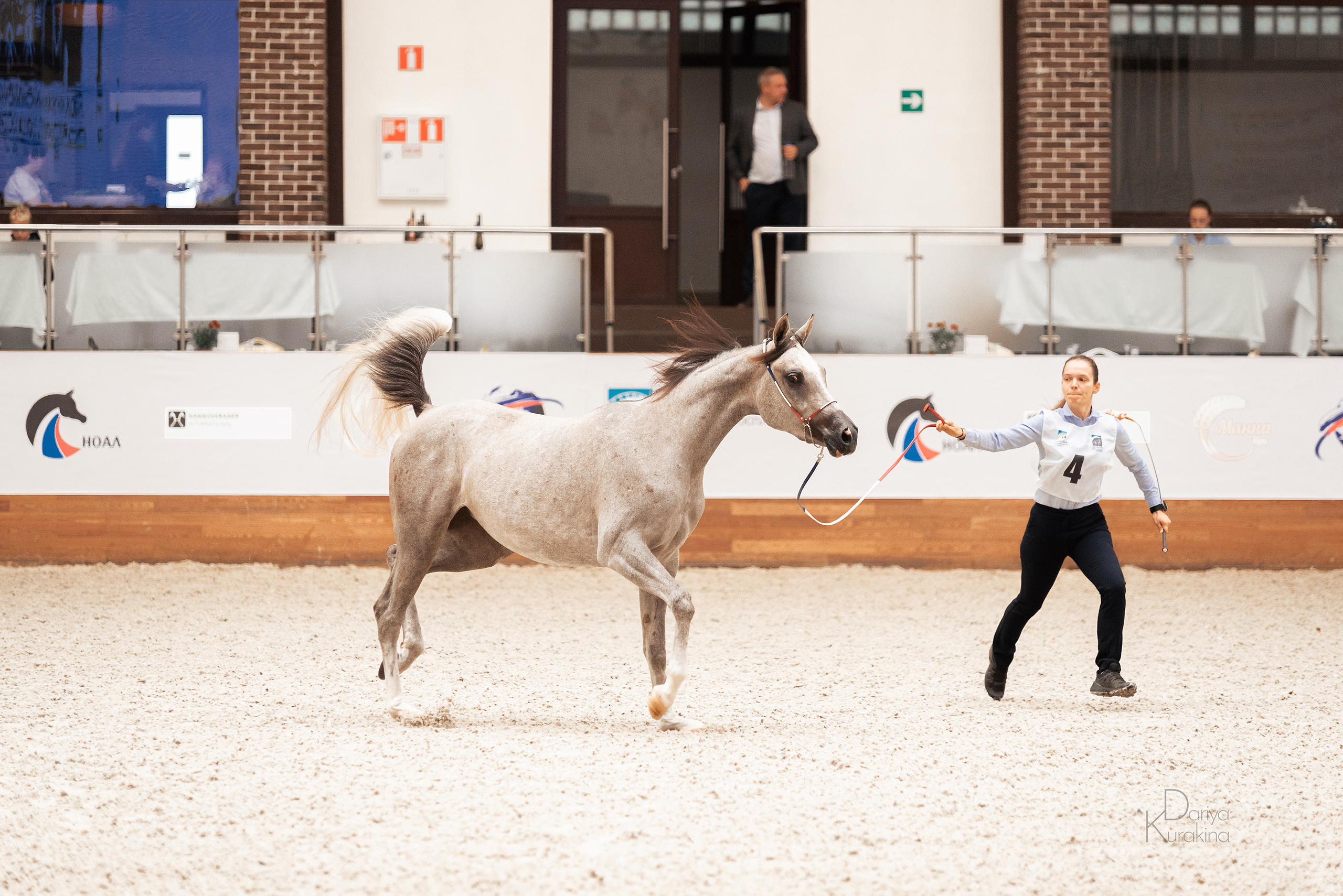Конная Россия 2021. Конный фотограф Куракина Дарья • Фотосессии с лошадьми