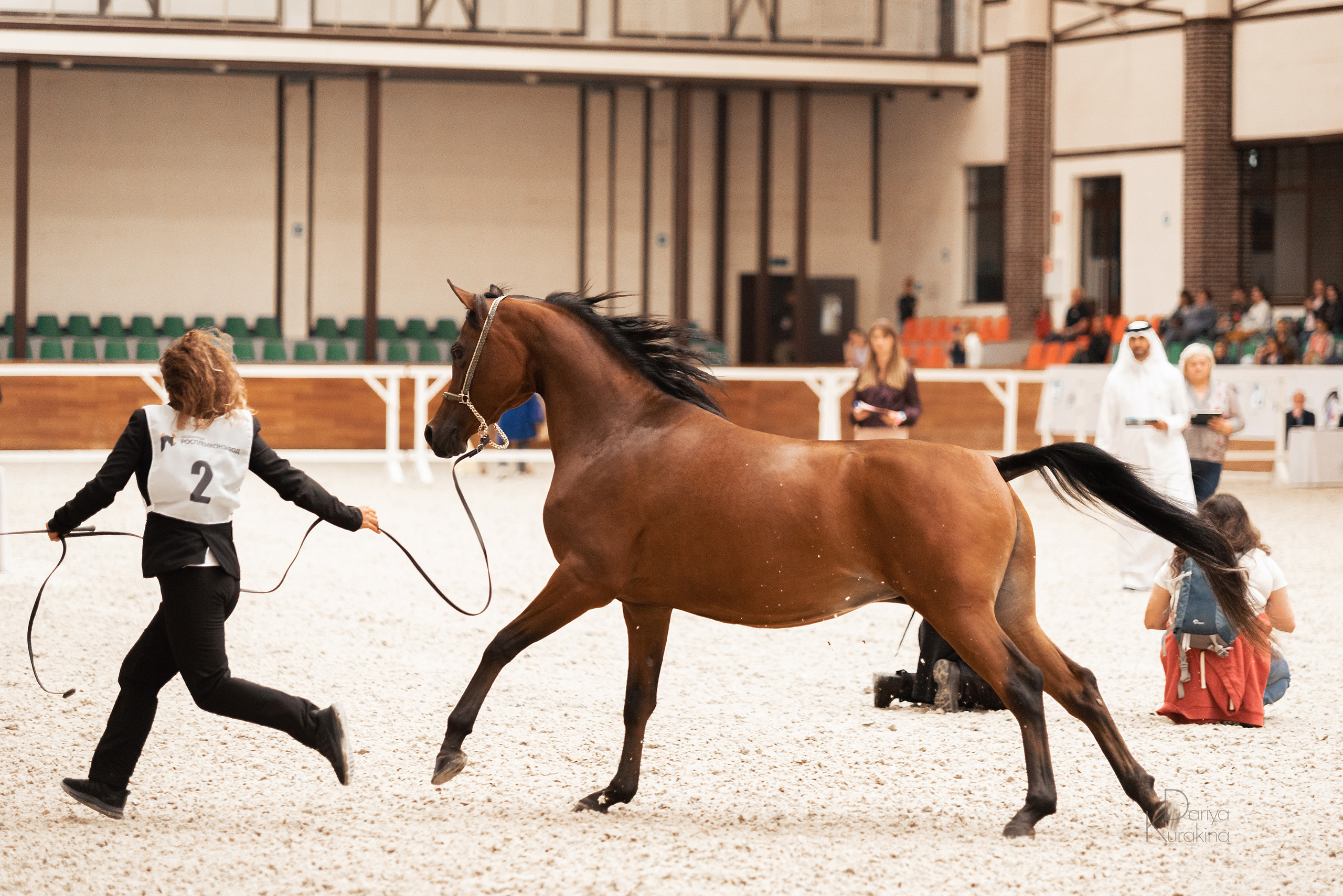 Конная Россия 2021. Конный фотограф Куракина Дарья • Фотосессии с лошадьми