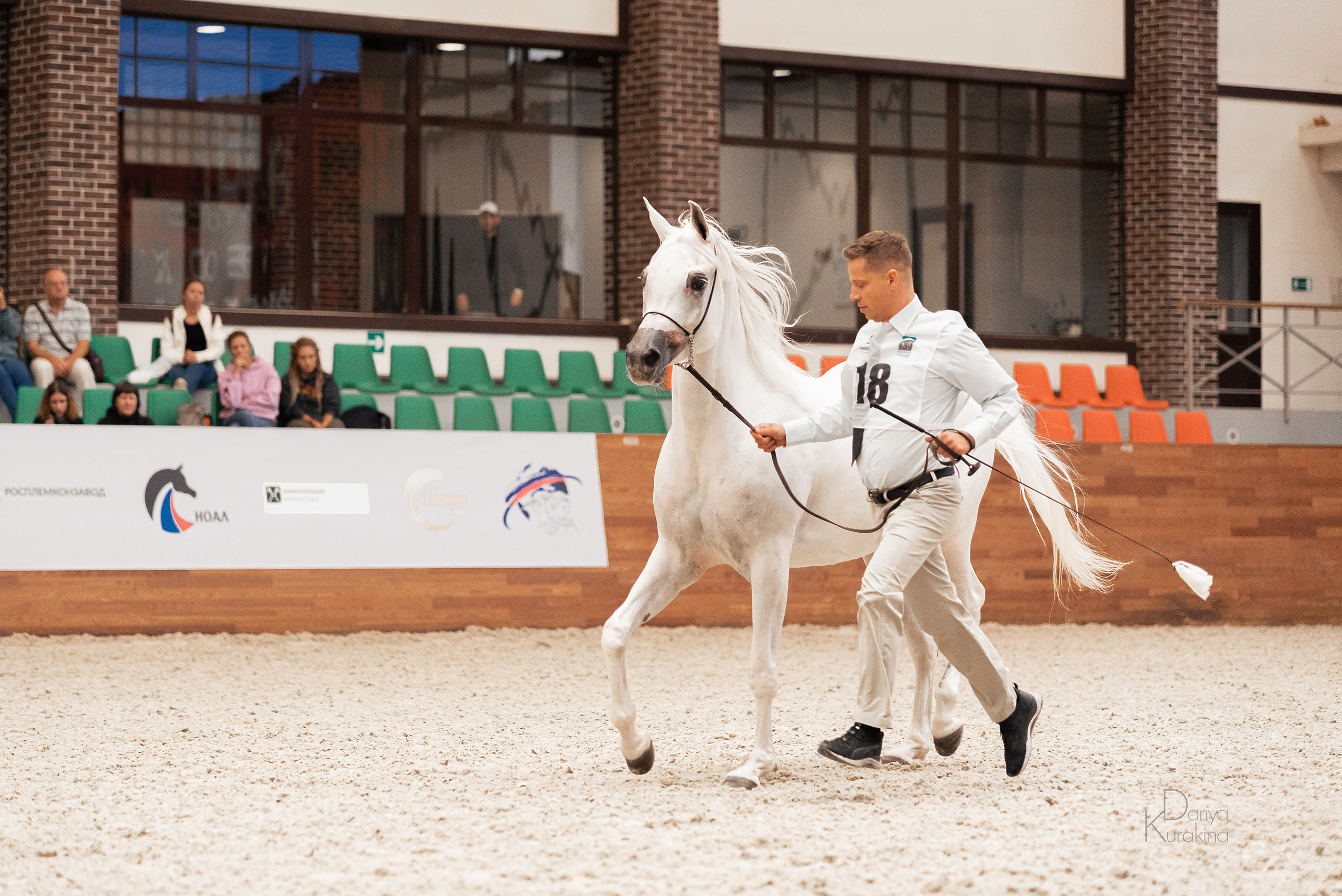 Конная Россия 2021. Конный фотограф Куракина Дарья • Фотосессии с лошадьми