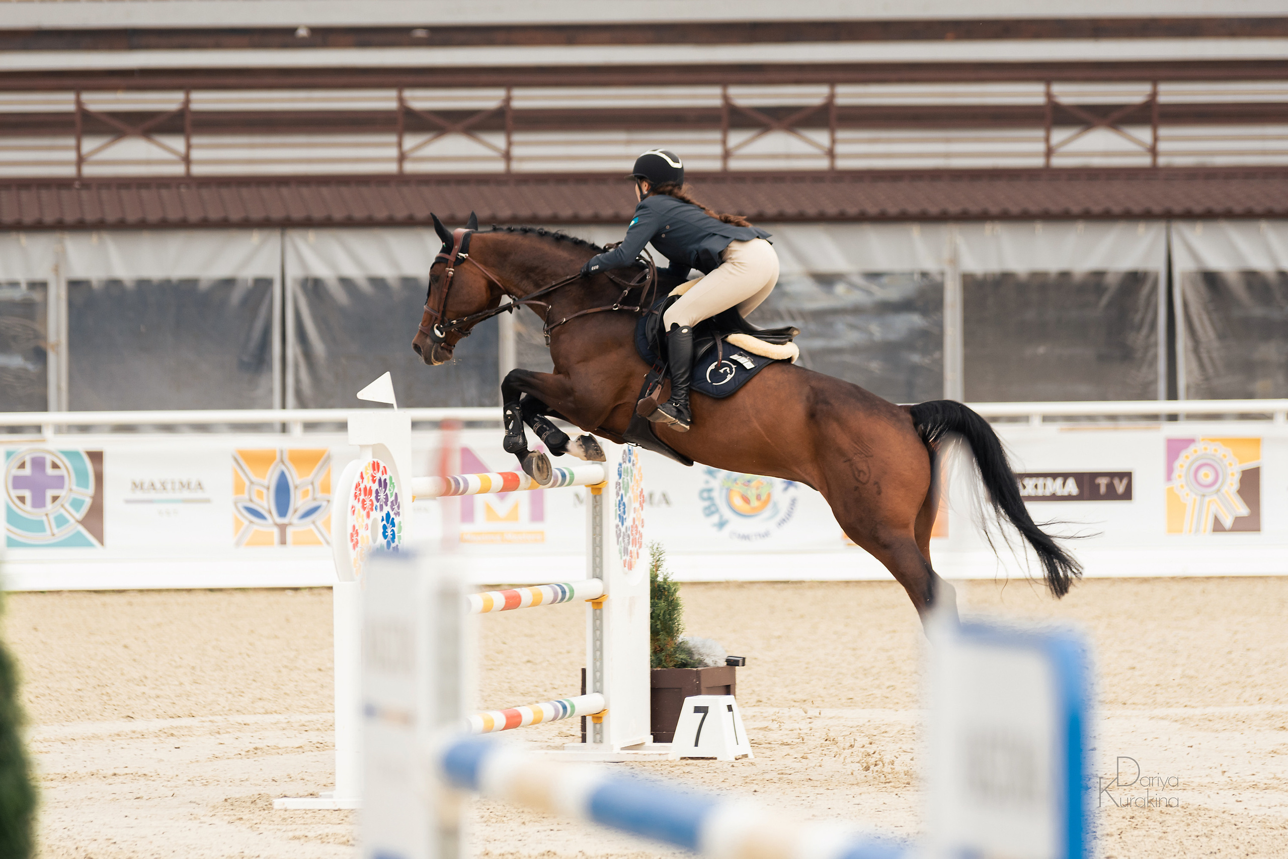 Конная Россия 2021. Конный фотограф Куракина Дарья • Фотосессии с лошадьми