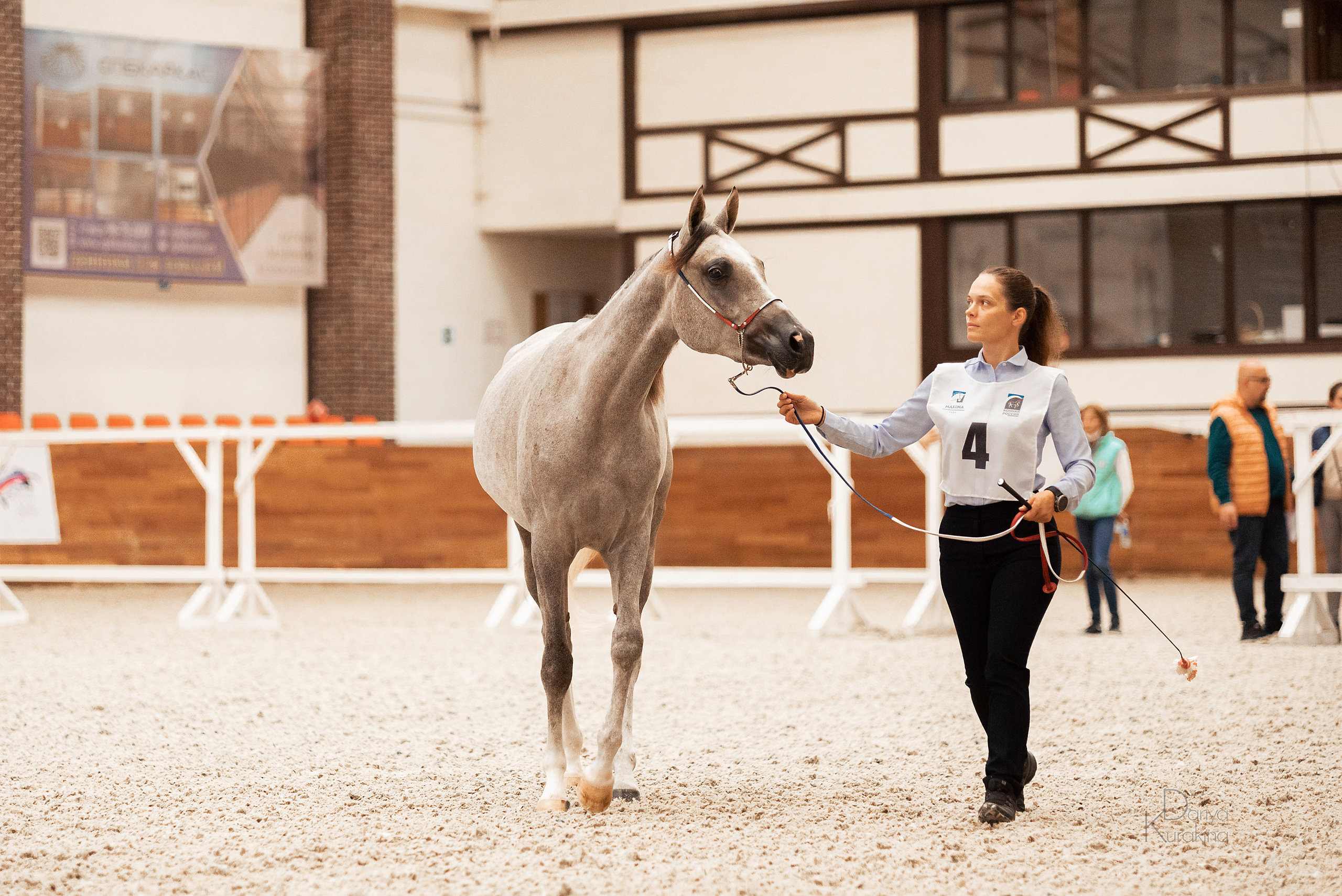 Конная Россия 2021. Конный фотограф Куракина Дарья • Фотосессии с лошадьми