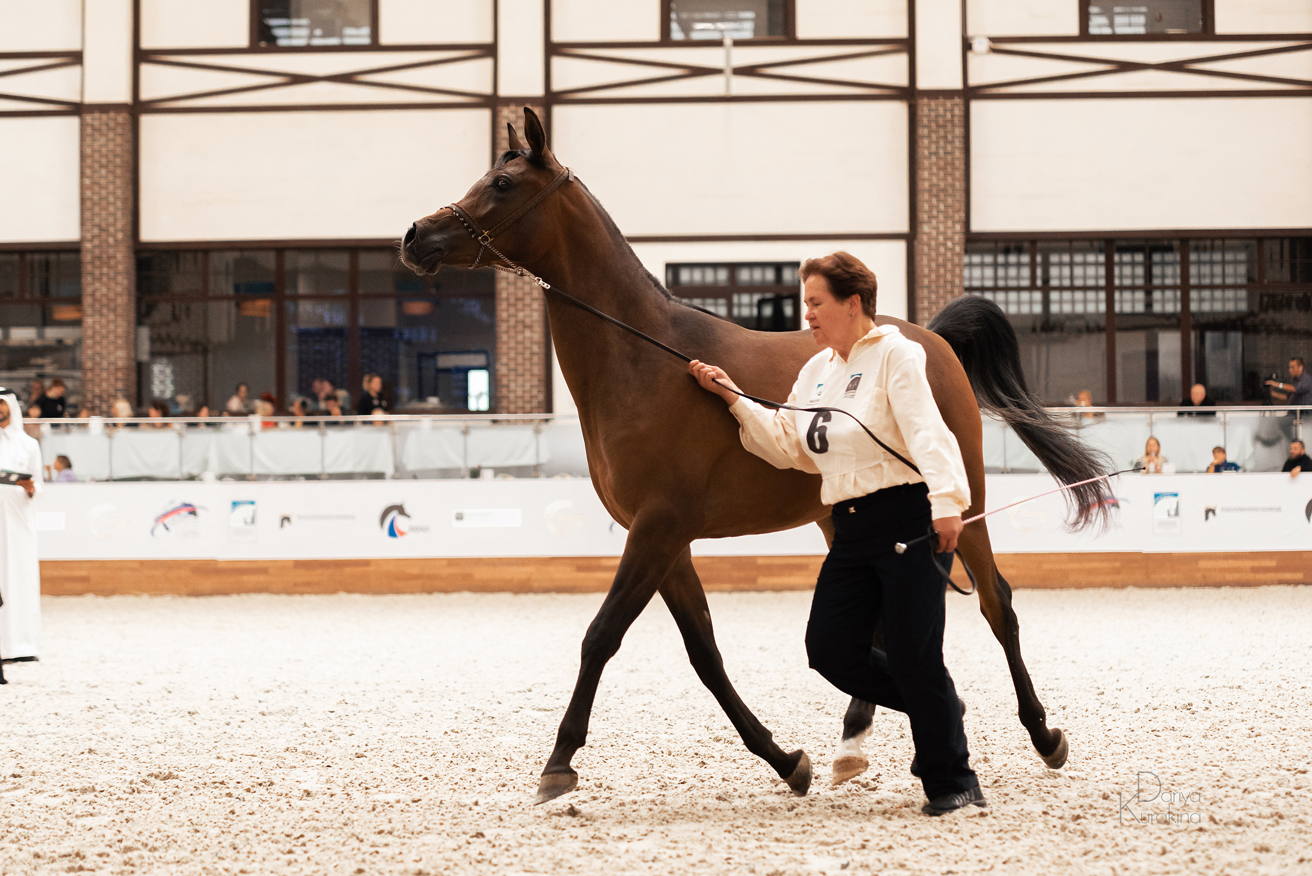 Конная Россия 2021. Конный фотограф Куракина Дарья • Фотосессии с лошадьми