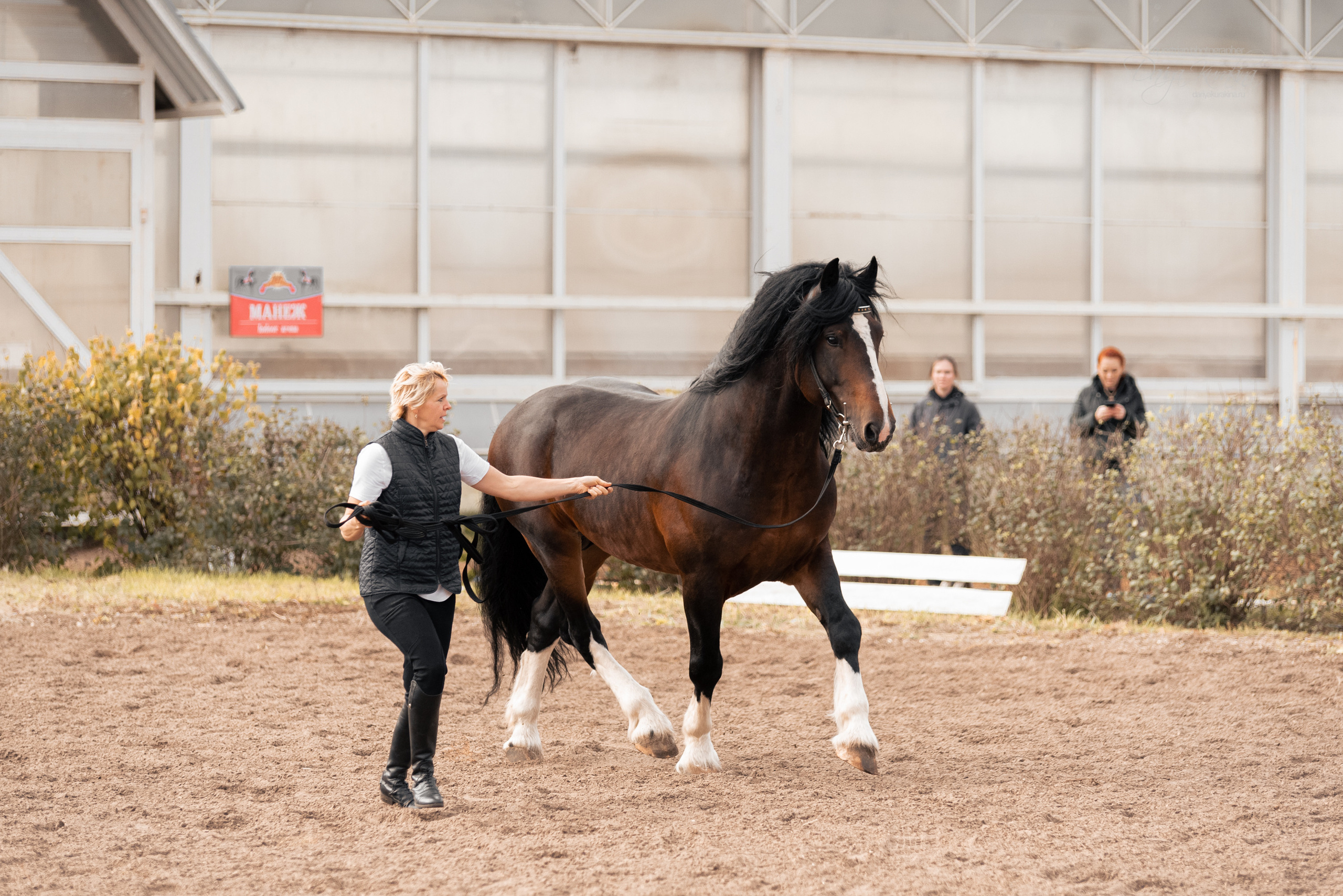 Богдарня. Конный фотограф Куракина Дарья • Фотосессии с лошадьми