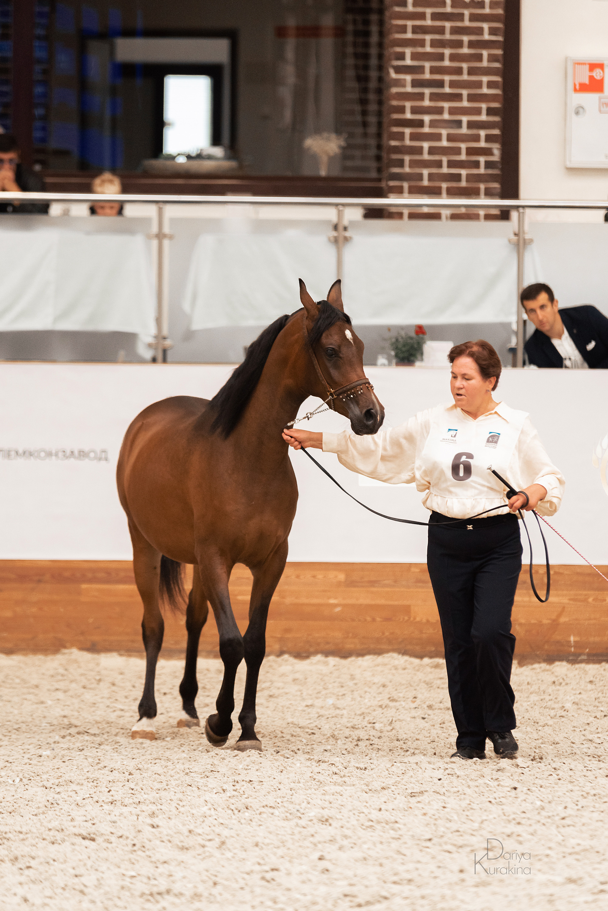 Конная Россия 2021. Конный фотограф Куракина Дарья • Фотосессии с лошадьми