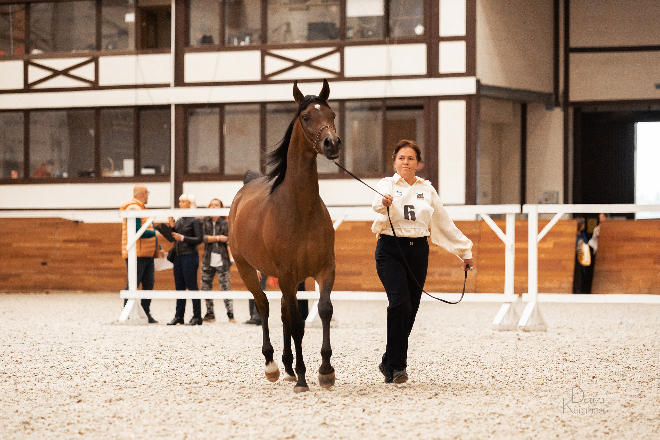 Конная Россия 2021. Конный фотограф Куракина Дарья • Фотосессии с лошадьми