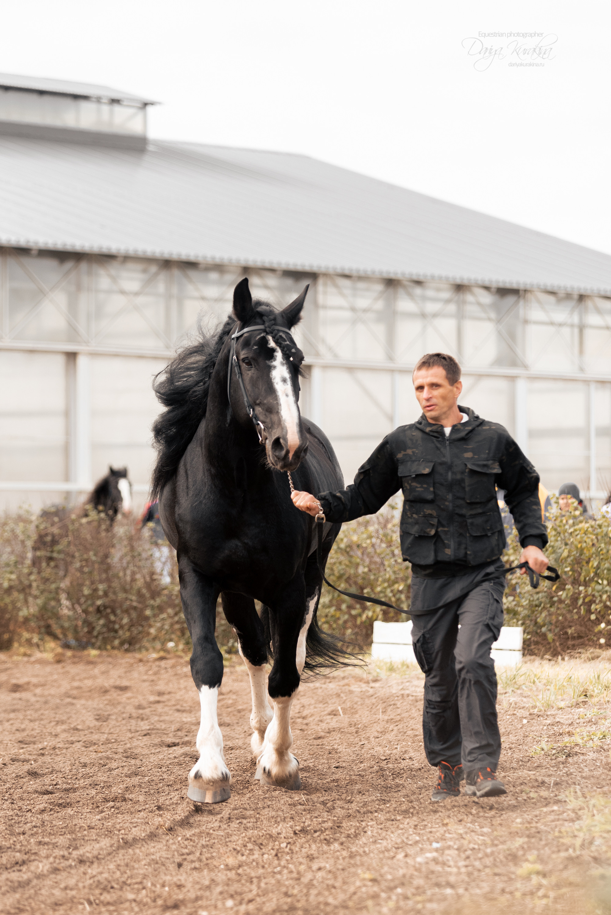 Богдарня. Конный фотограф Куракина Дарья • Фотосессии с лошадьми