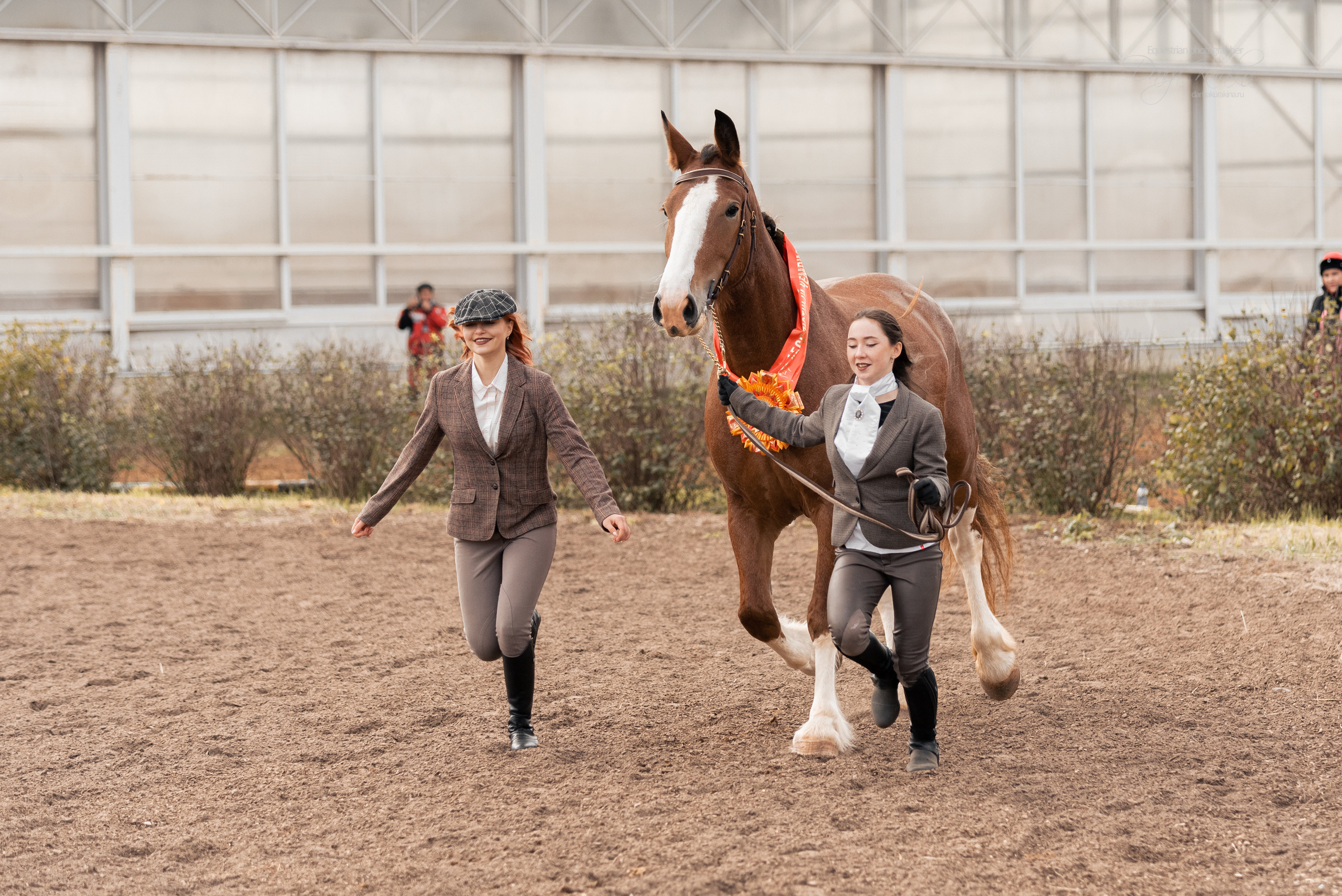 Богдарня. Конный фотограф Куракина Дарья • Фотосессии с лошадьми