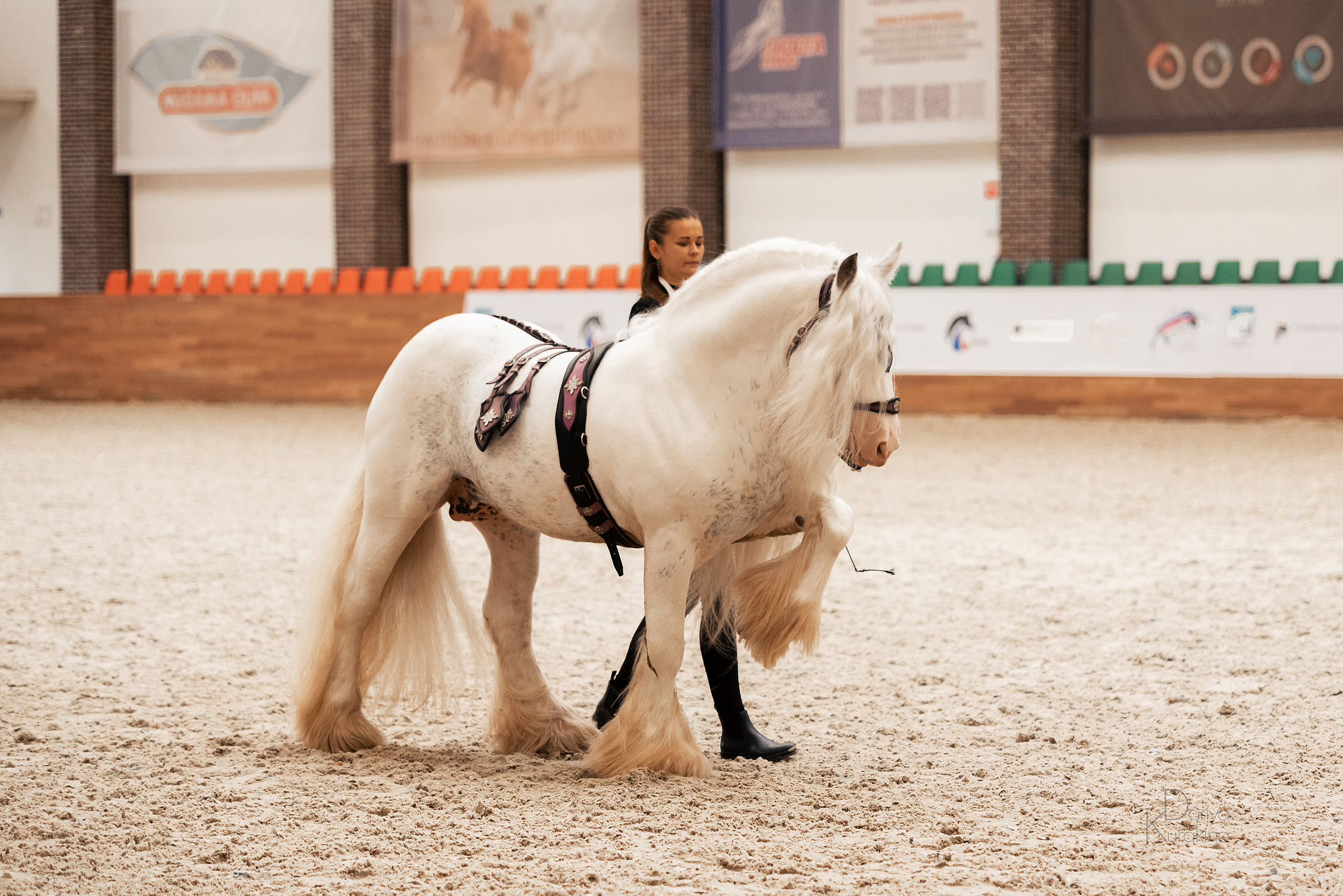 Конная Россия 2021. Конный фотограф Куракина Дарья • Фотосессии с лошадьми