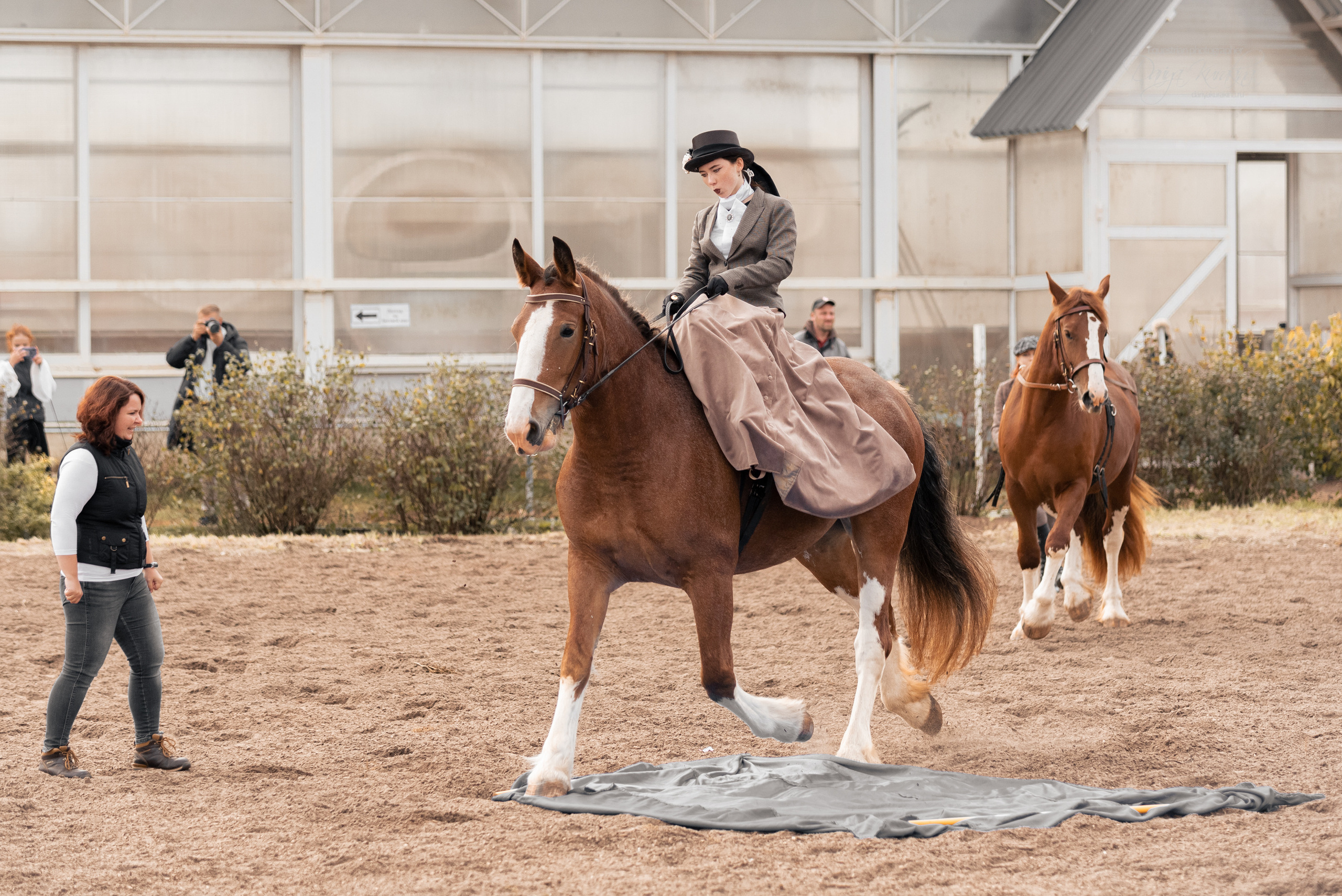 Богдарня. Конный фотограф Куракина Дарья • Фотосессии с лошадьми