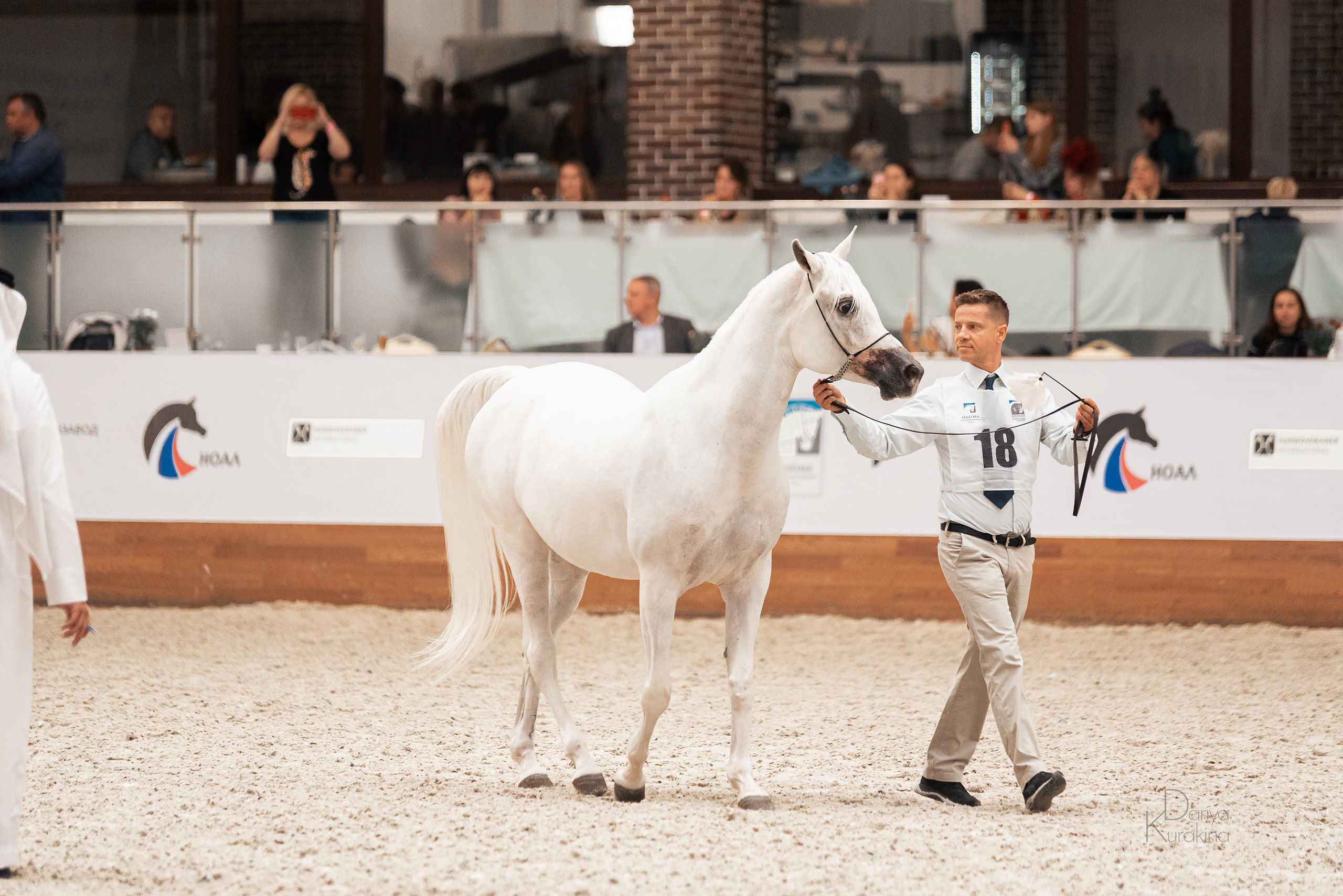 Конная Россия 2021. Конный фотограф Куракина Дарья • Фотосессии с лошадьми