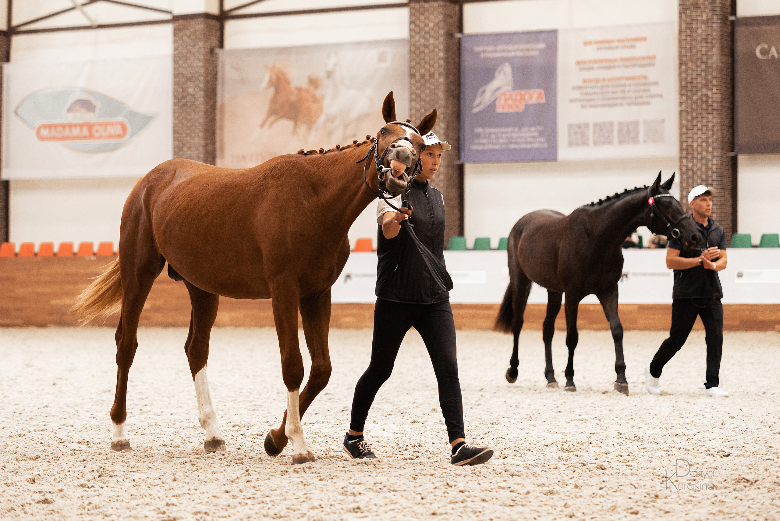 Конная Россия 2021. Конный фотограф Куракина Дарья • Фотосессии с лошадьми