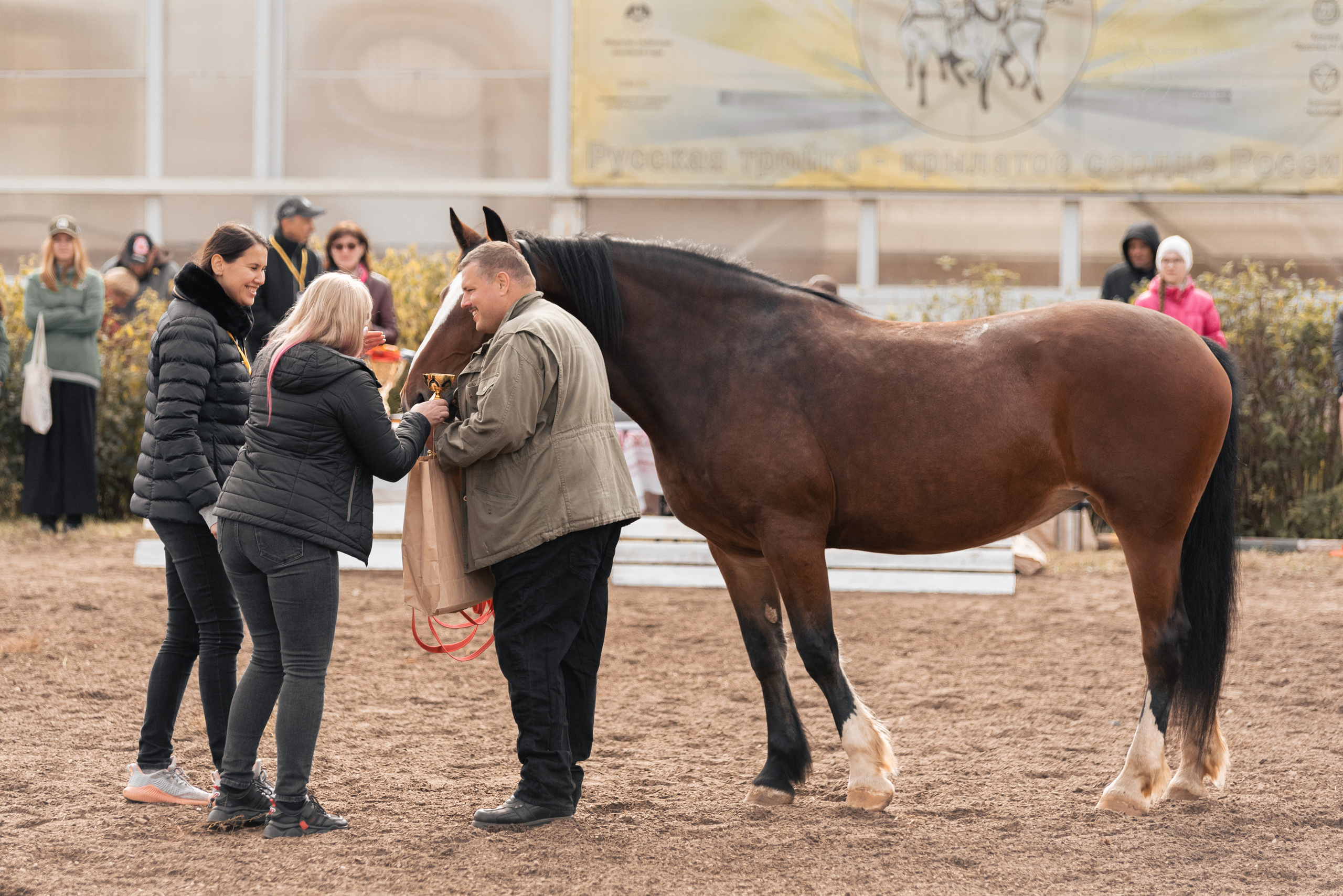 Богдарня. Конный фотограф Куракина Дарья • Фотосессии с лошадьми