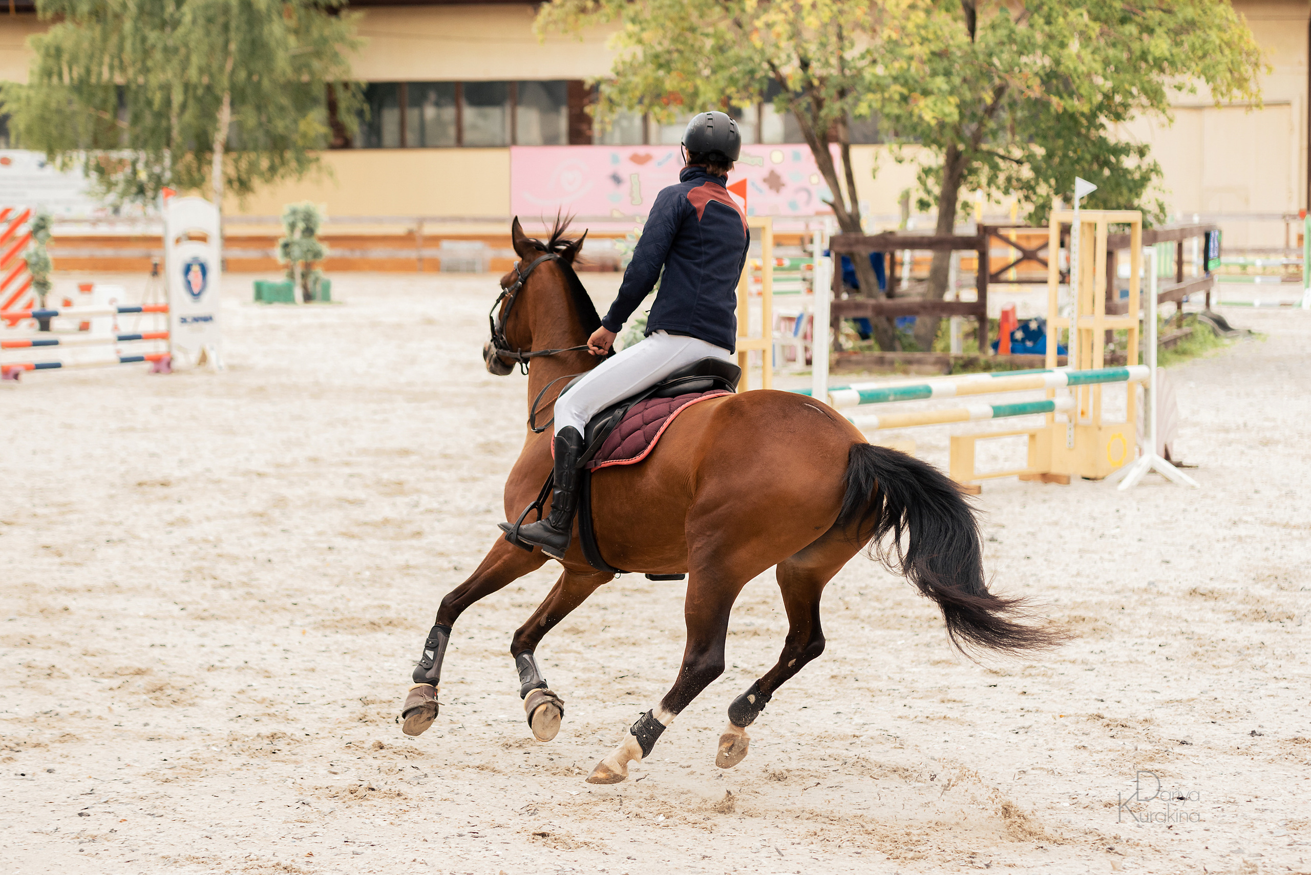 КСК Белая Дача, конкур. Конный фотограф Куракина Дарья • Фотосессии с лошадьми