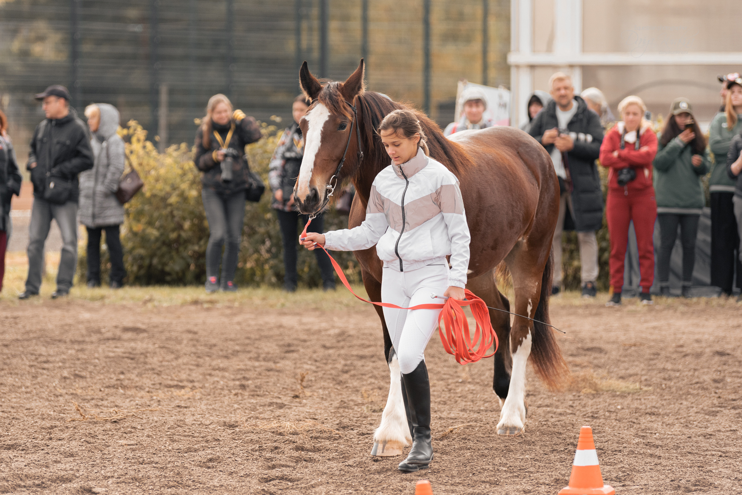 Богдарня. Конный фотограф Куракина Дарья • Фотосессии с лошадьми